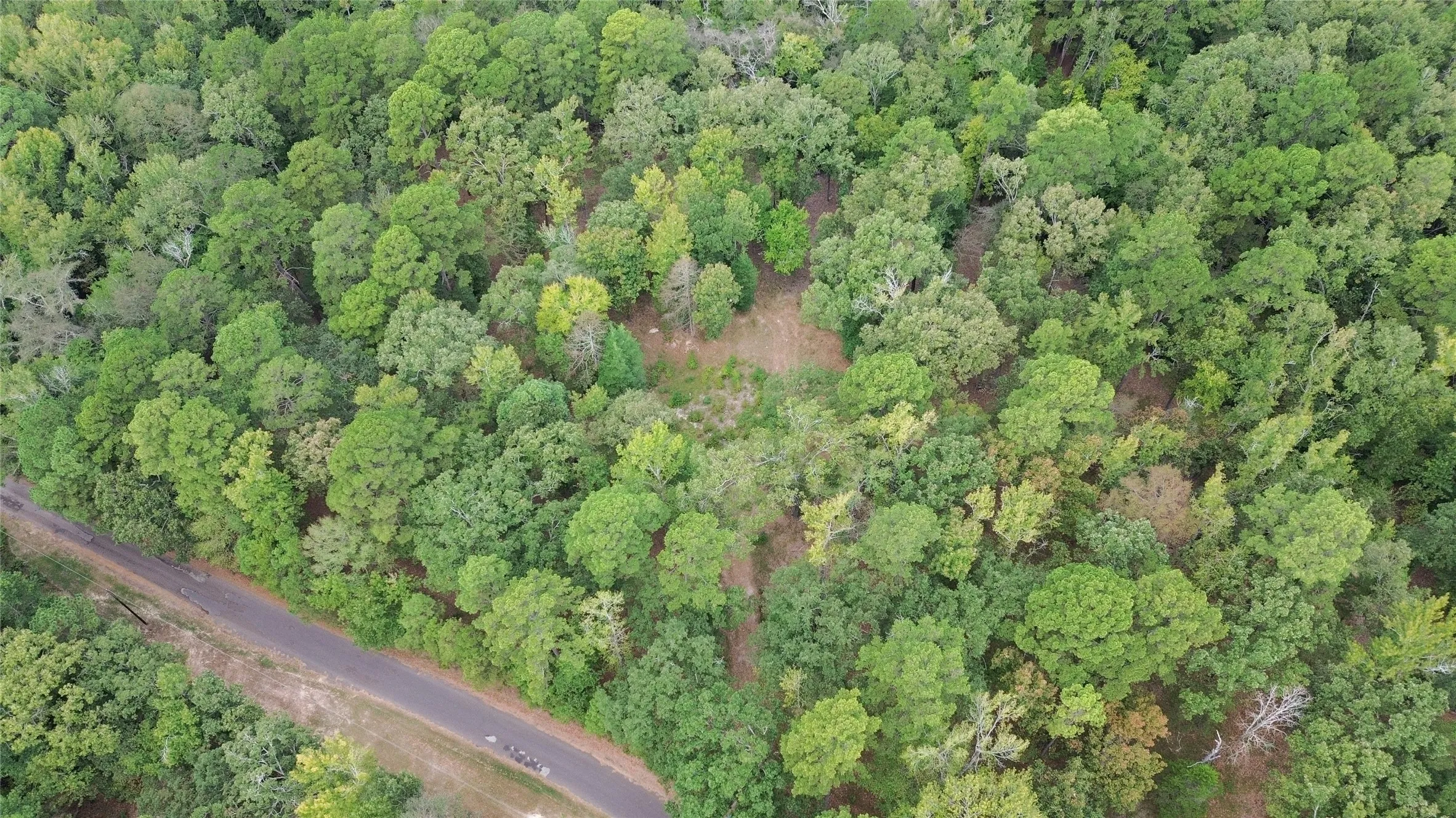 Unimproved Land For Sale in Cass County , 1688 County Road 1597, Avinger, Texas 75630, 0, 0, Garage spaces, 0 Sqft, built in 0, mls#21402116, Real Estate Agent in Avinger, Homes For Sale in Cass county, Homes For Sale in Avinger, Realtor in Avinger Texas, Real Estate Brokerage Independent Realty Texas, Luminita Cordes Realtor