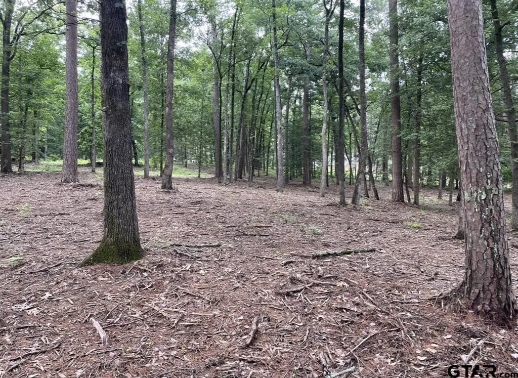 Unimproved Land For Sale in Cass County , 1688 County Road 1597, Avinger, Texas 75630, 0, 0, Garage spaces, 0 Sqft, built in 0, mls#21402116, Real Estate Agent in Avinger, Homes For Sale in Cass county, Homes For Sale in Avinger, Realtor in Avinger Texas, Real Estate Brokerage Independent Realty Texas, Luminita Cordes Realtor
