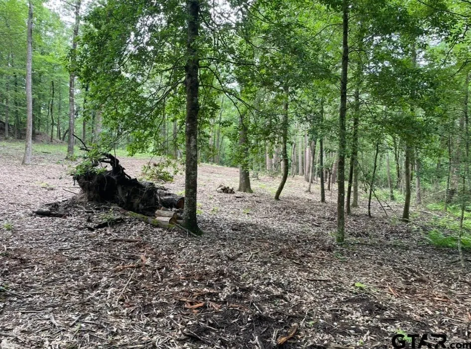 Unimproved Land For Sale in Cass County , 1688 County Road 1597, Avinger, Texas 75630, 0, 0, Garage spaces, 0 Sqft, built in 0, mls#21402116, Real Estate Agent in Avinger, Homes For Sale in Cass county, Homes For Sale in Avinger, Realtor in Avinger Texas, Real Estate Brokerage Independent Realty Texas, Luminita Cordes Realtor