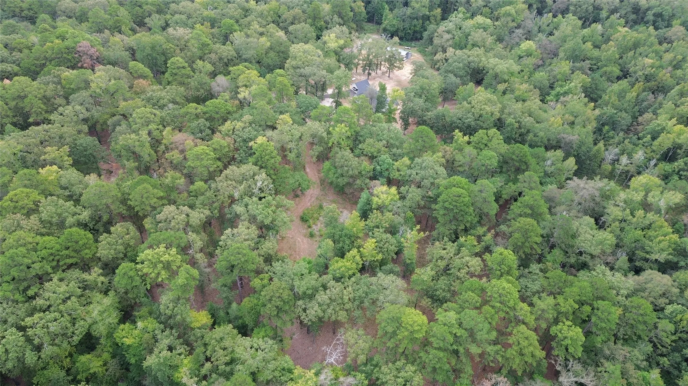 Unimproved Land For Sale in Cass County , 1688 County Road 1597, Avinger, Texas 75630, 0, 0, Garage spaces, 0 Sqft, built in 0, mls#21402116, Real Estate Agent in Avinger, Homes For Sale in Cass county, Homes For Sale in Avinger, Realtor in Avinger Texas, Real Estate Brokerage Independent Realty Texas, Luminita Cordes Realtor