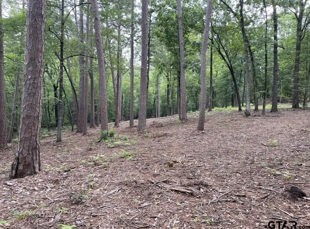 Unimproved Land For Sale in Cass County , 1688 County Road 1597, Avinger, Texas 75630, 0, 0, Garage spaces, 0 Sqft, built in 0, mls#21402116, Real Estate Agent in Avinger, Homes For Sale in Cass county, Homes For Sale in Avinger, Realtor in Avinger Texas, Real Estate Brokerage Independent Realty Texas, Luminita Cordes Realtor