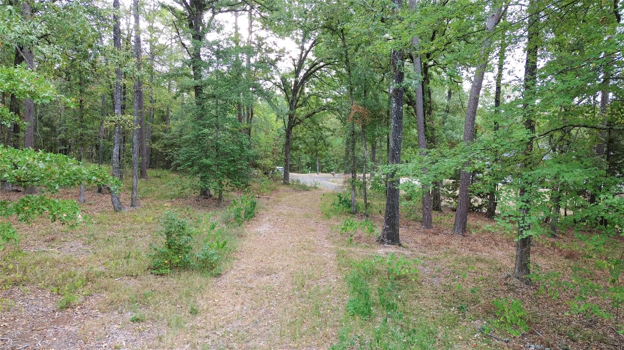 Unimproved Land For Sale in Cass County , 1688 County Road 1597, Avinger, Texas 75630, 0, 0, Garage spaces, 0 Sqft, built in 0, mls#21402116, Real Estate Agent in Avinger, Homes For Sale in Cass county, Homes For Sale in Avinger, Realtor in Avinger Texas, Real Estate Brokerage Independent Realty Texas, Luminita Cordes Realtor