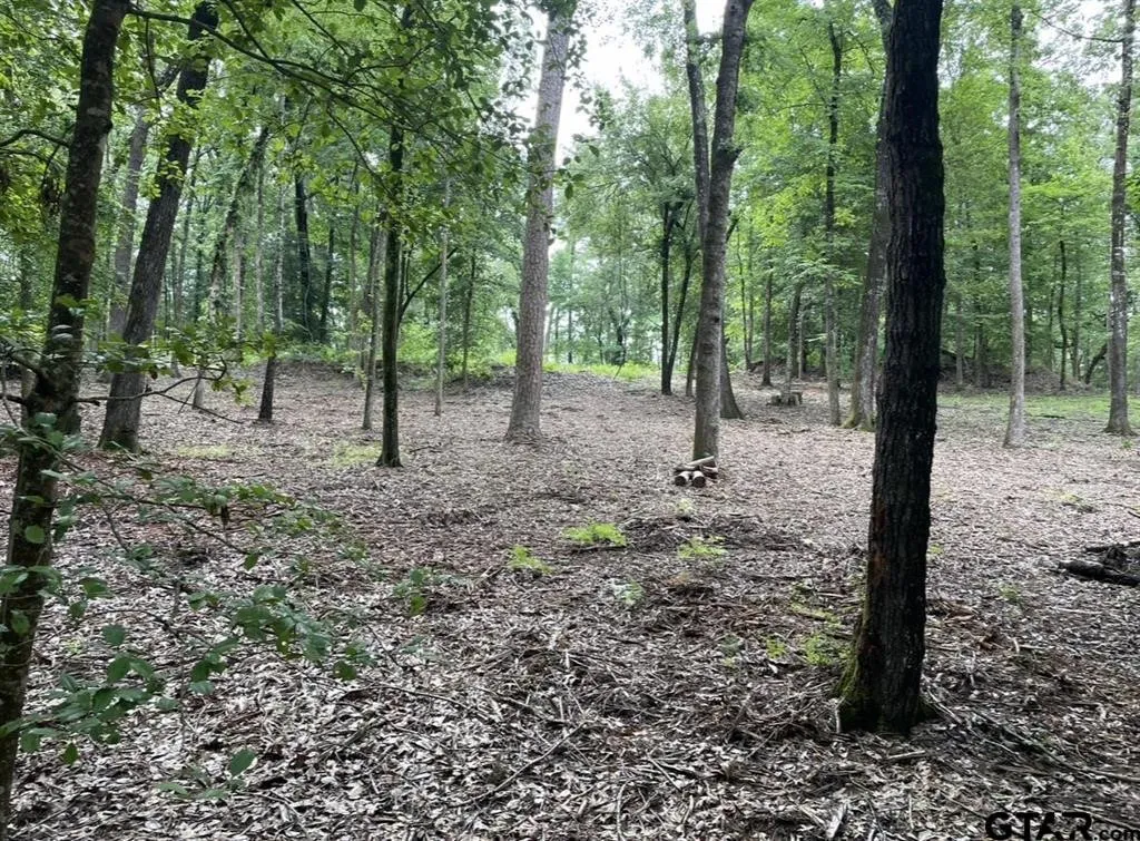 Unimproved Land For Sale in Cass County , 1688 County Road 1597, Avinger, Texas 75630, 0, 0, Garage spaces, 0 Sqft, built in 0, mls#21402116, Real Estate Agent in Avinger, Homes For Sale in Cass county, Homes For Sale in Avinger, Realtor in Avinger Texas, Real Estate Brokerage Independent Realty Texas, Luminita Cordes Realtor