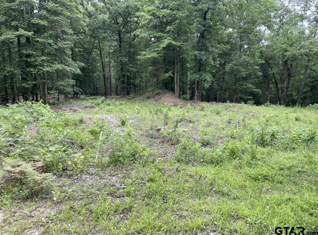 Unimproved Land For Sale in Cass County , 1688 County Road 1597, Avinger, Texas 75630, 0, 0, Garage spaces, 0 Sqft, built in 0, mls#21402116, Real Estate Agent in Avinger, Homes For Sale in Cass county, Homes For Sale in Avinger, Realtor in Avinger Texas, Real Estate Brokerage Independent Realty Texas, Luminita Cordes Realtor