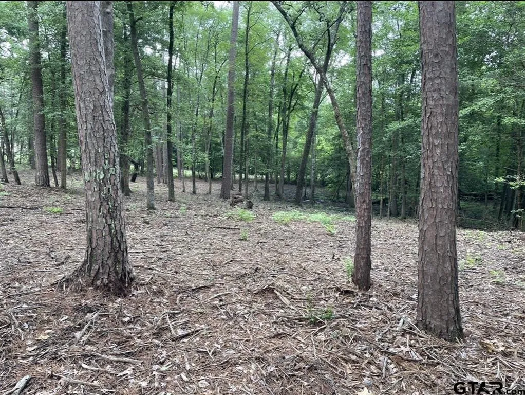 Unimproved Land For Sale in Cass County , 1688 County Road 1597, Avinger, Texas 75630, 0, 0, Garage spaces, 0 Sqft, built in 0, mls#21402116, Real Estate Agent in Avinger, Homes For Sale in Cass county, Homes For Sale in Avinger, Realtor in Avinger Texas, Real Estate Brokerage Independent Realty Texas, Luminita Cordes Realtor