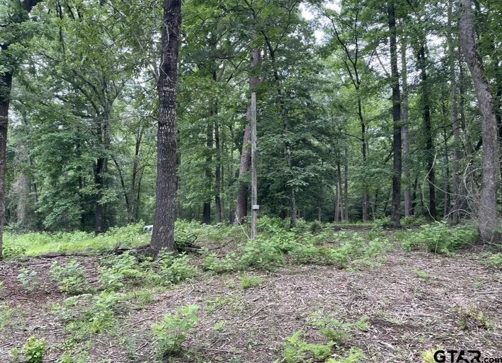 Unimproved Land For Sale in Cass County , 1688 County Road 1597, Avinger, Texas 75630, 0, 0, Garage spaces, 0 Sqft, built in 0, mls#21402116, Real Estate Agent in Avinger, Homes For Sale in Cass county, Homes For Sale in Avinger, Realtor in Avinger Texas, Real Estate Brokerage Independent Realty Texas, Luminita Cordes Realtor