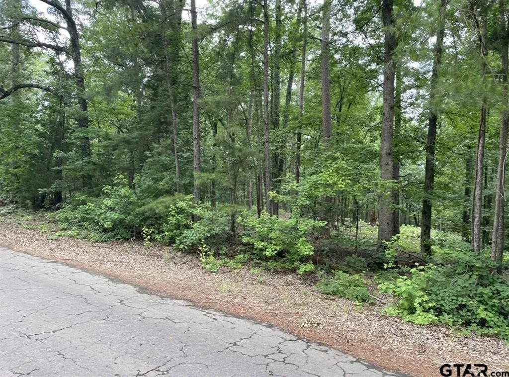 Unimproved Land For Sale in Cass County , 1688 County Road 1597, Avinger, Texas 75630, 0, 0, Garage spaces, 0 Sqft, built in 0, mls#21402116, Real Estate Agent in Avinger, Homes For Sale in Cass county, Homes For Sale in Avinger, Realtor in Avinger Texas, Real Estate Brokerage Independent Realty Texas, Luminita Cordes Realtor
