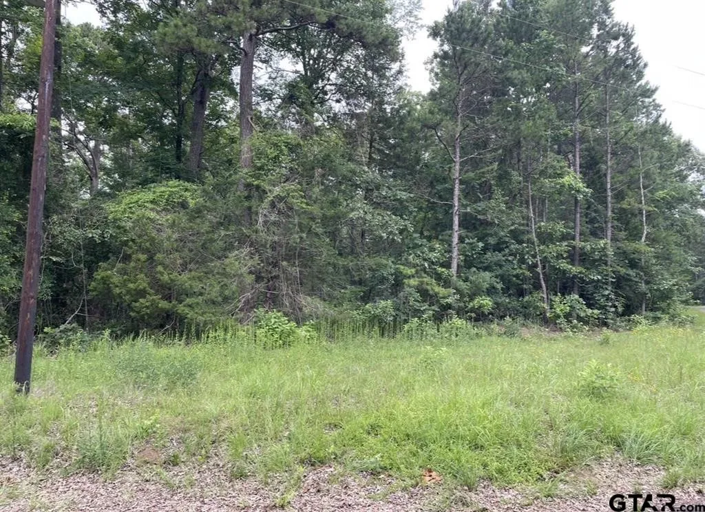 Unimproved Land For Sale in Cass County , 1688 County Road 1597, Avinger, Texas 75630, 0, 0, Garage spaces, 0 Sqft, built in 0, mls#21402116, Real Estate Agent in Avinger, Homes For Sale in Cass county, Homes For Sale in Avinger, Realtor in Avinger Texas, Real Estate Brokerage Independent Realty Texas, Luminita Cordes Realtor