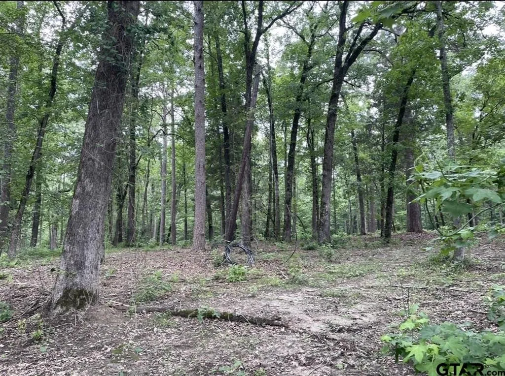 Unimproved Land For Sale in Cass County , 1688 County Road 1597, Avinger, Texas 75630, 0, 0, Garage spaces, 0 Sqft, built in 0, mls#21402116, Real Estate Agent in Avinger, Homes For Sale in Cass county, Homes For Sale in Avinger, Realtor in Avinger Texas, Real Estate Brokerage Independent Realty Texas, Luminita Cordes Realtor