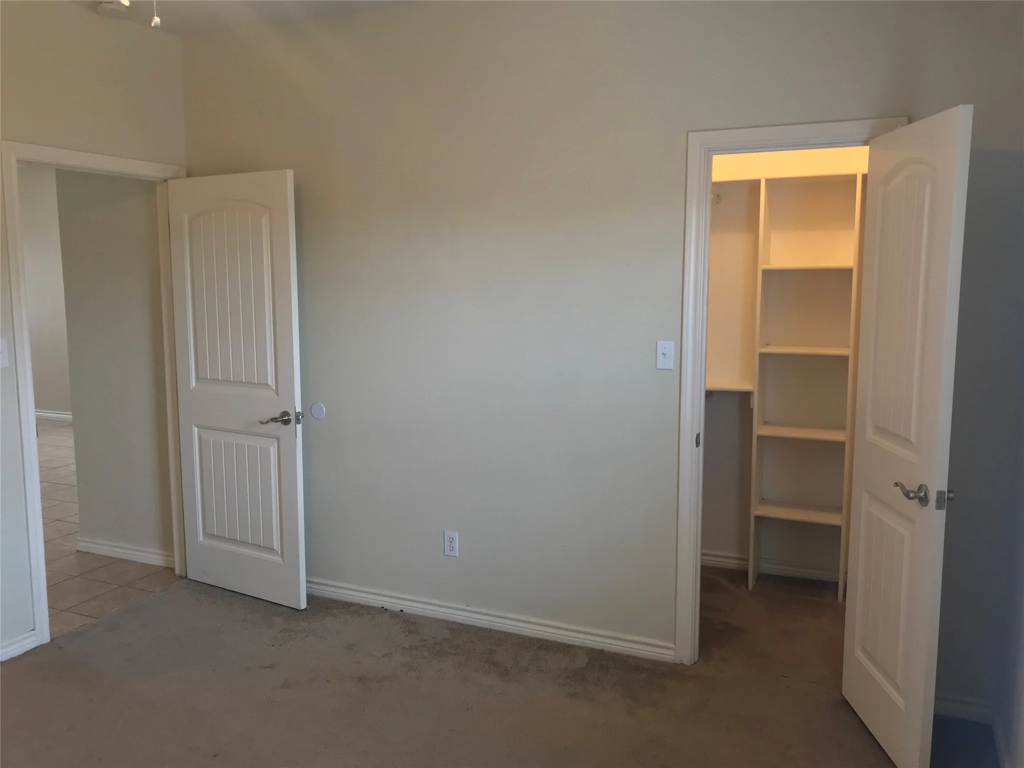 Built-in shelving, carpet flooring, and neutral wall tones