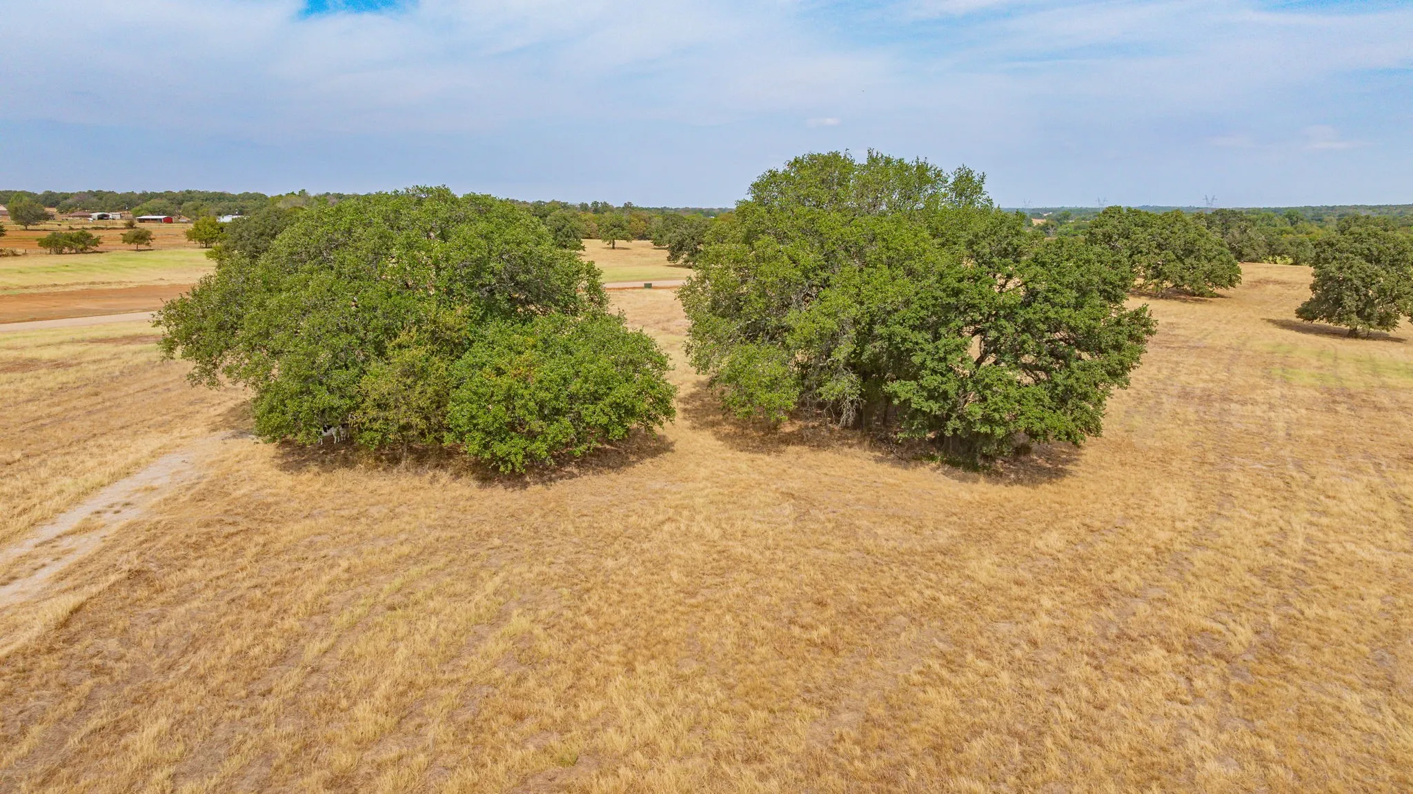 Unimproved Land For Sale in Parker County , TBD Stylish Oak Lane Lot 6, Poolville, Texas 76487, 0, 0, Garage spaces, 0 Sqft, built in 0, mls#21402152, Real Estate Agent in Poolville, Homes For Sale in Parker county, Homes For Sale in Poolville, Realtor in Poolville Texas, Real Estate Brokerage Independent Realty Texas, Luminita Cordes Realtor