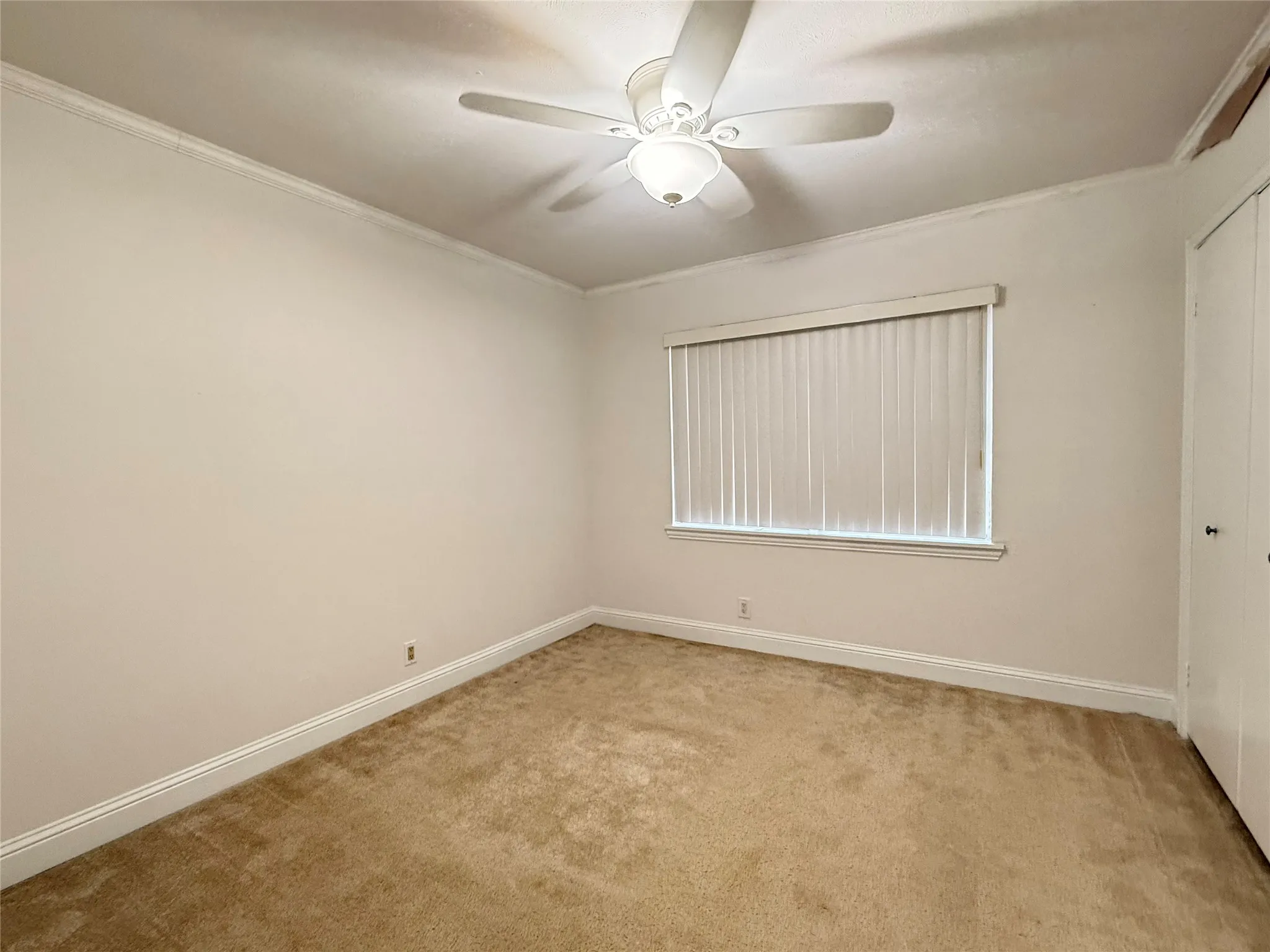 Single Family Residence For Rent in Denton County , 681 Surf Street, Lewisville, Texas 75067, 3 Bedroom, 2 Bathroom, 2 Garage spaces, 1,686 Sqft, built in 1962, mls#21402195, Real Estate Agent in Lewisville, Homes For Rent in Denton county, Homes For Rent in Lewisville, Realtor in Lewisville Texas, Real Estate Brokerage Independent Realty Texas, Luminita Cordes Realtor