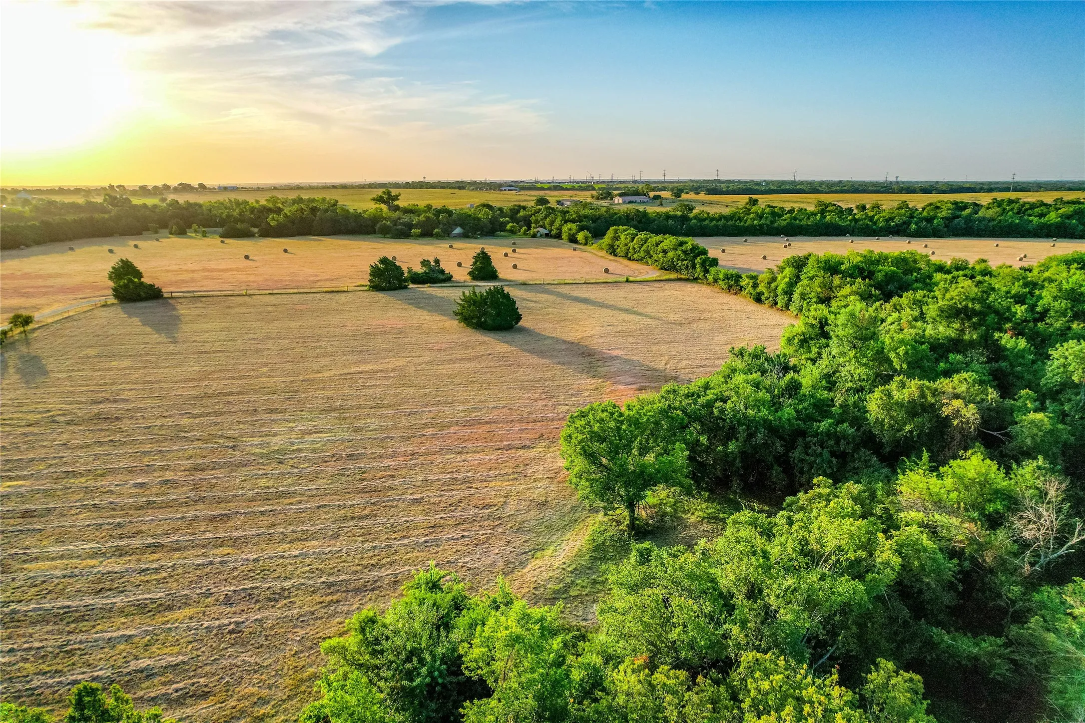 Expansive cultivated fields featuring scattered hay bales and mature trees