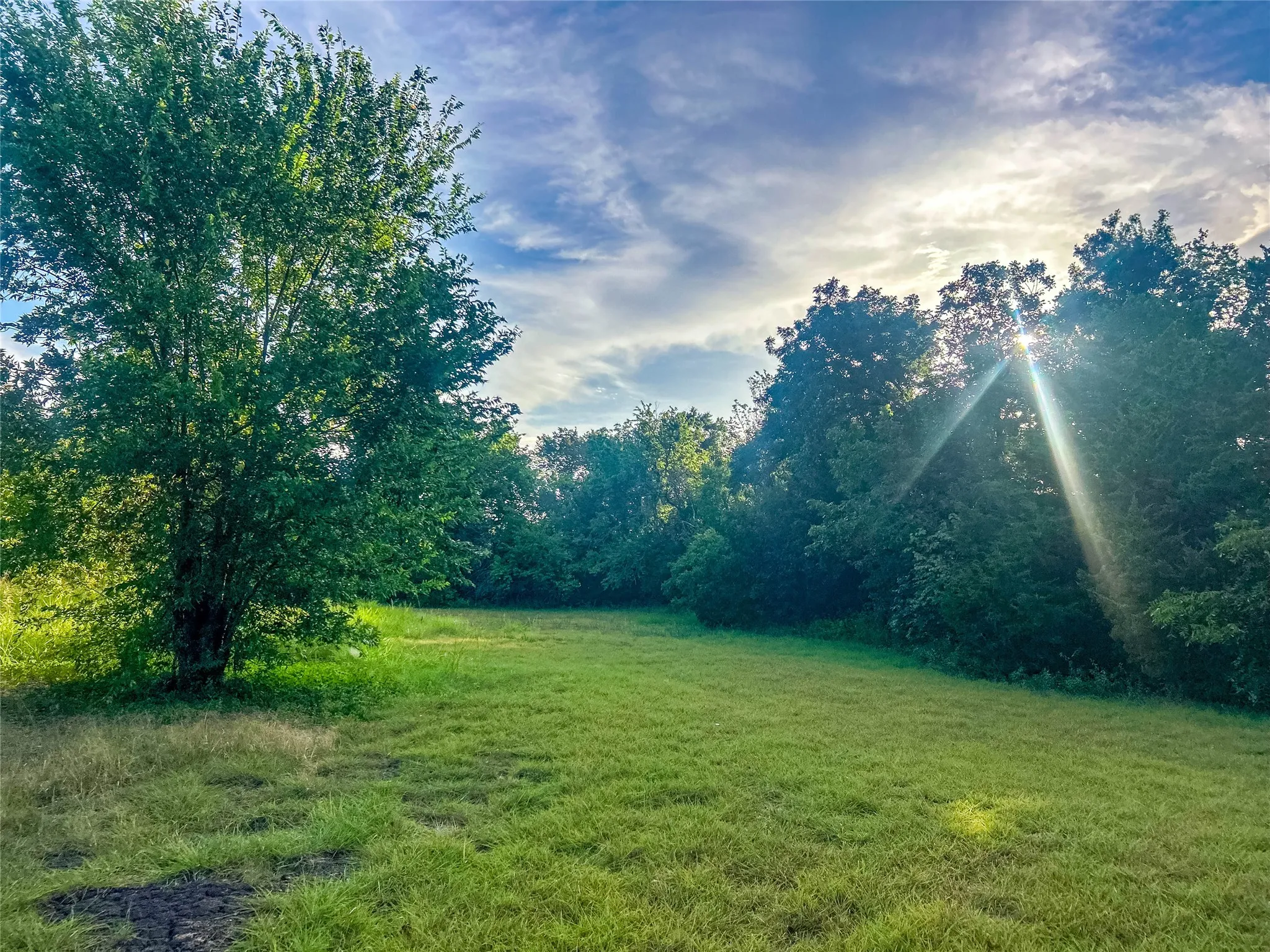 Expansive grassy area bordered by mature trees