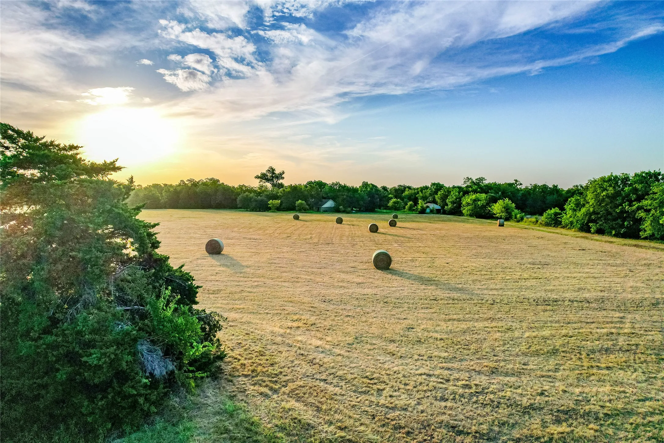 Expansive agricultural field with scattered hay bales