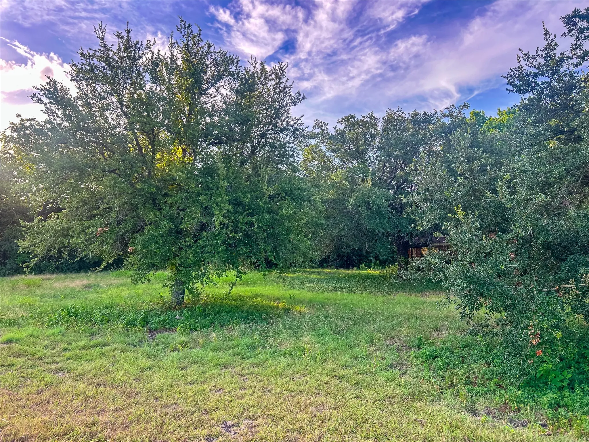 Expansive green space featuring mature trees and established natural landscaping