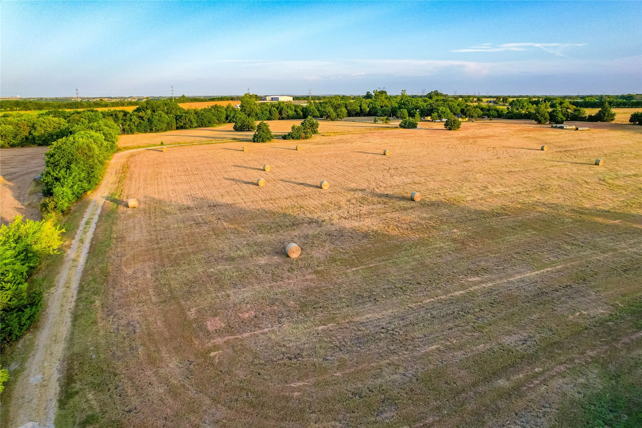 Expansive agricultural field with a natural tree line and visible dirt access road