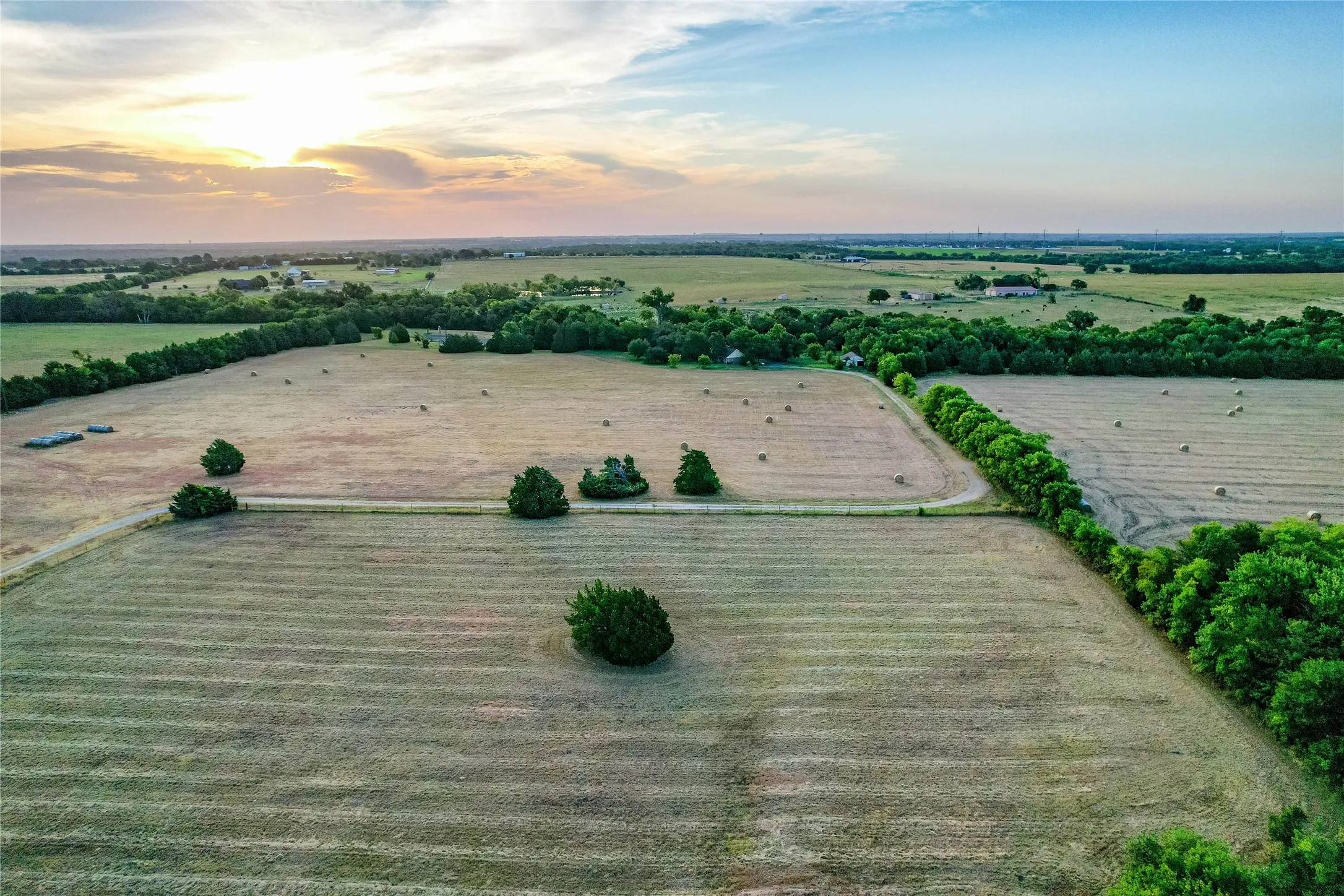 Expansive fields with scattered trees and natural landscaping