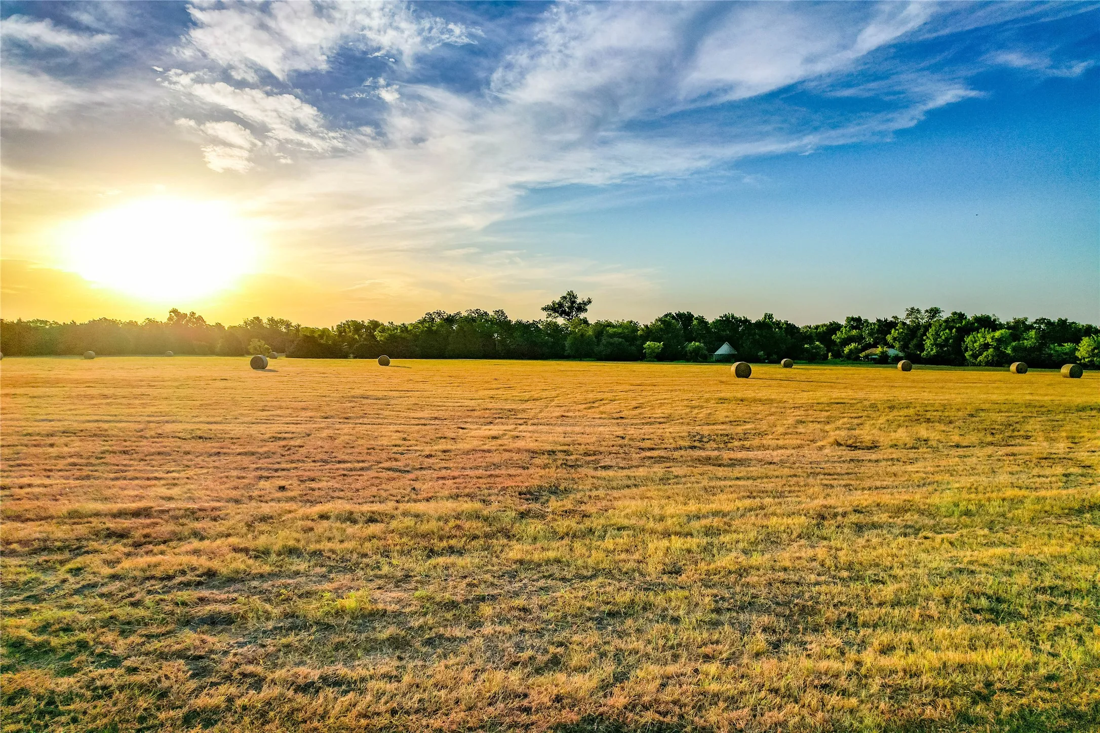 Expansive field with a treeline border