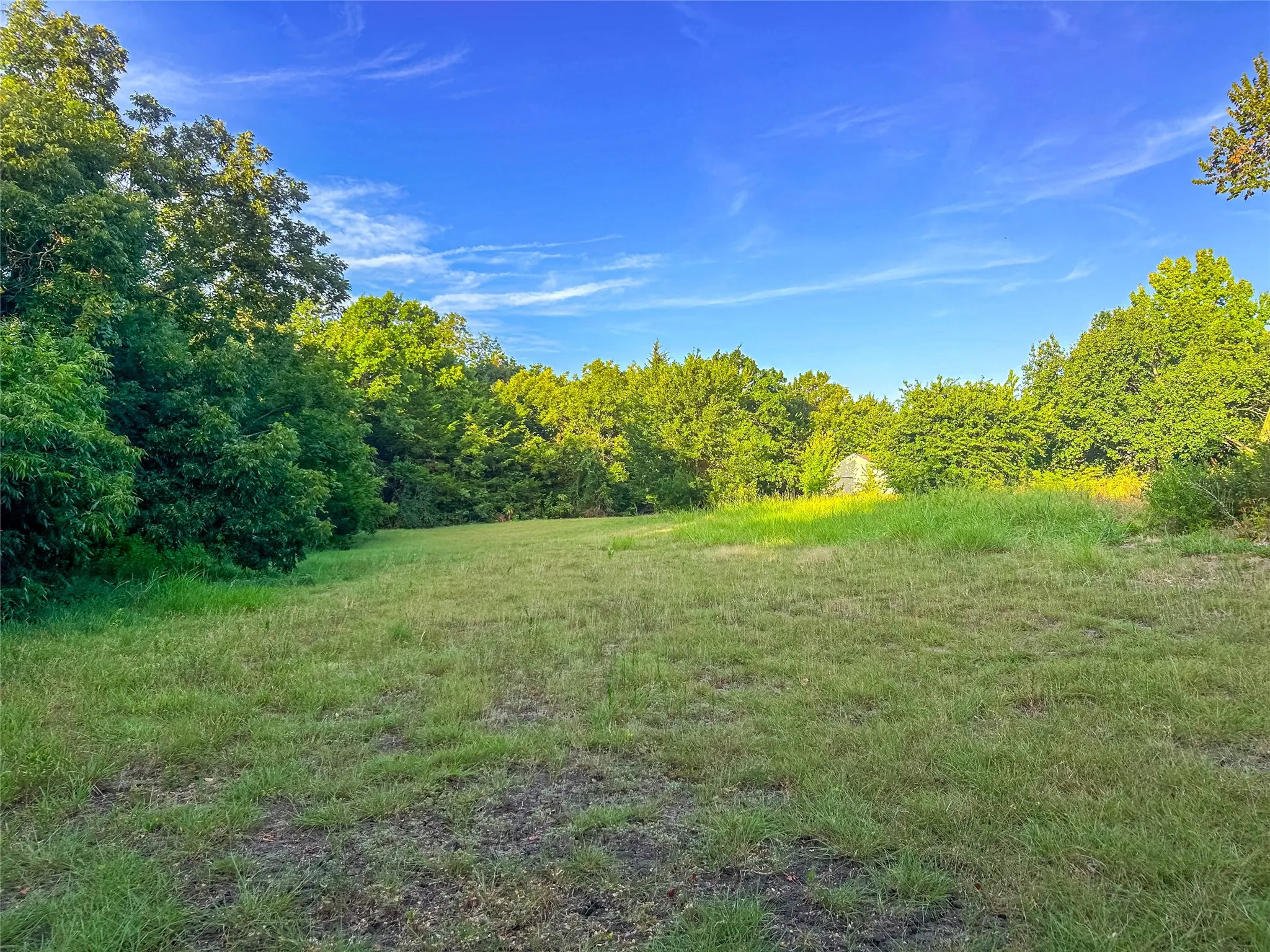 Expansive green space bordered by mature trees
