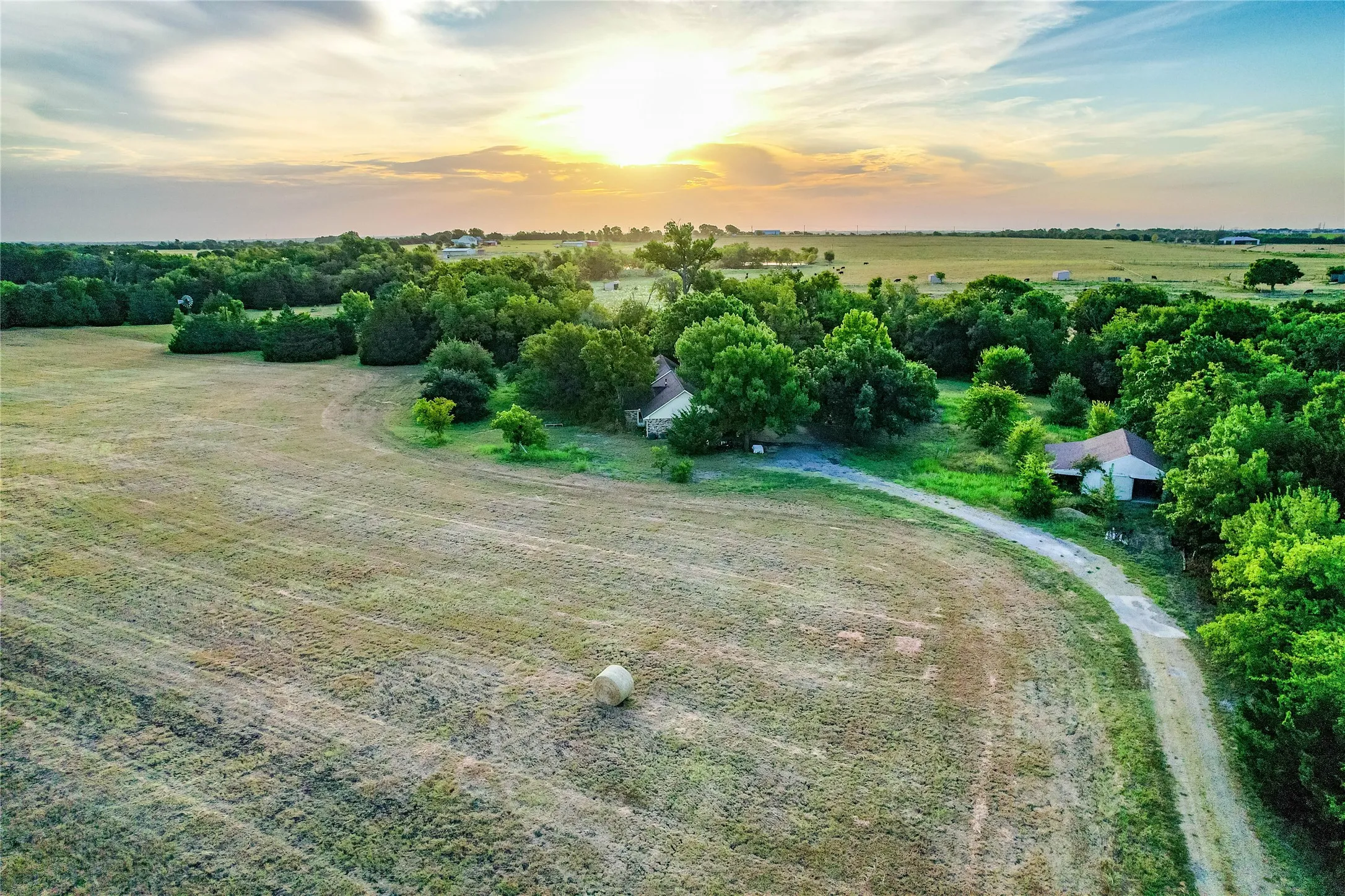 Expansive open field with scattered trees and a winding dirt road