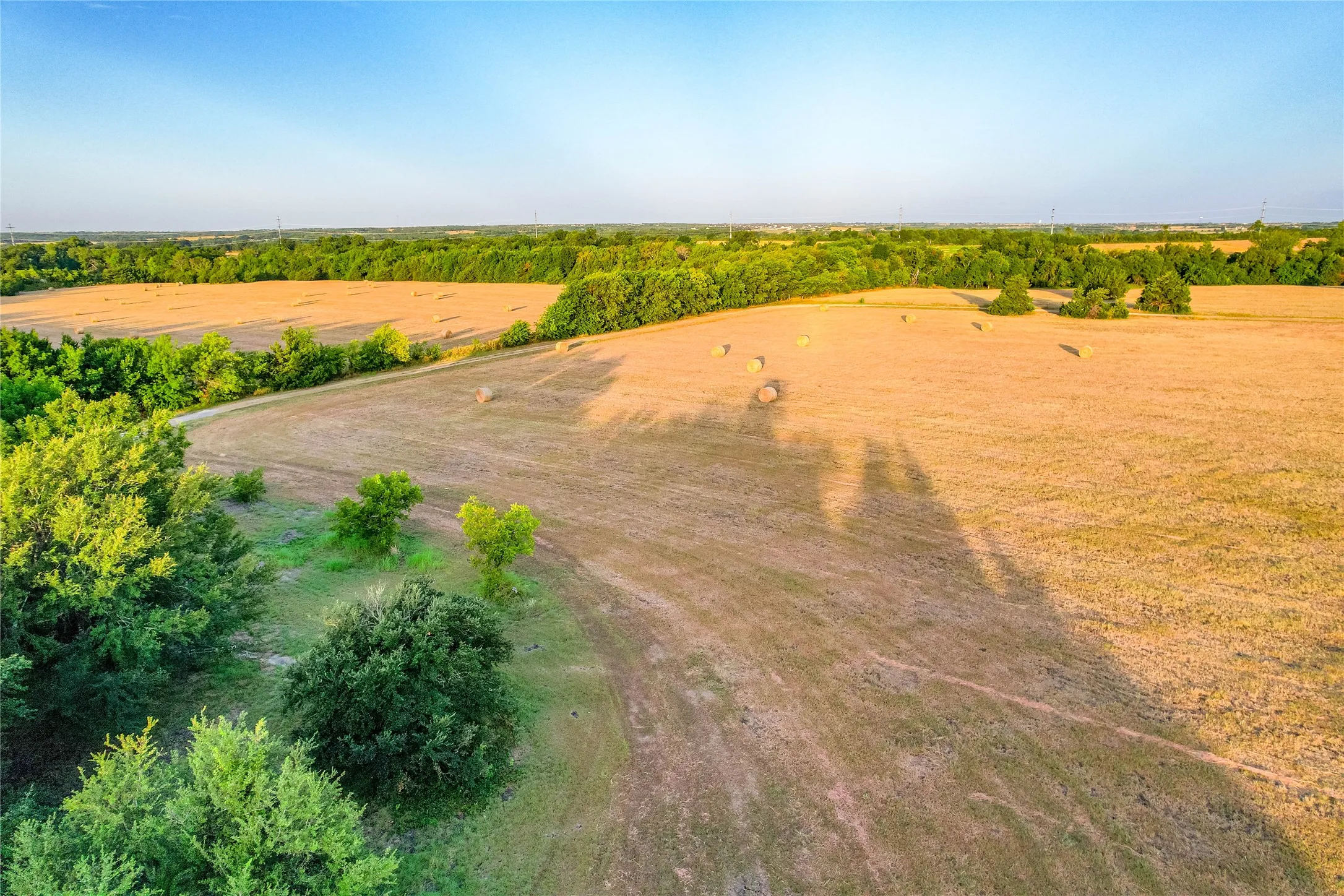 Expansive open fields with scattered trees and natural landscaping