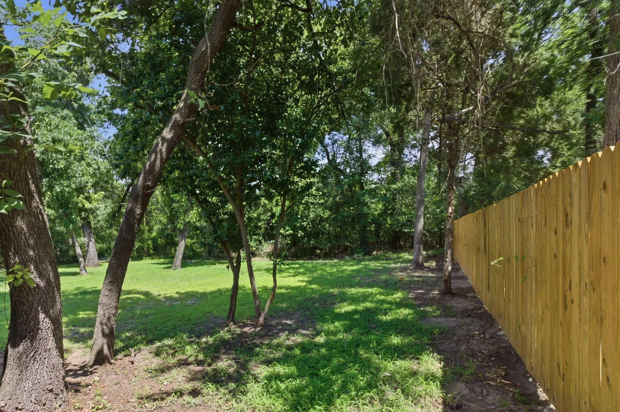 Grassed outdoor area with mature trees and a wooden privacy fence