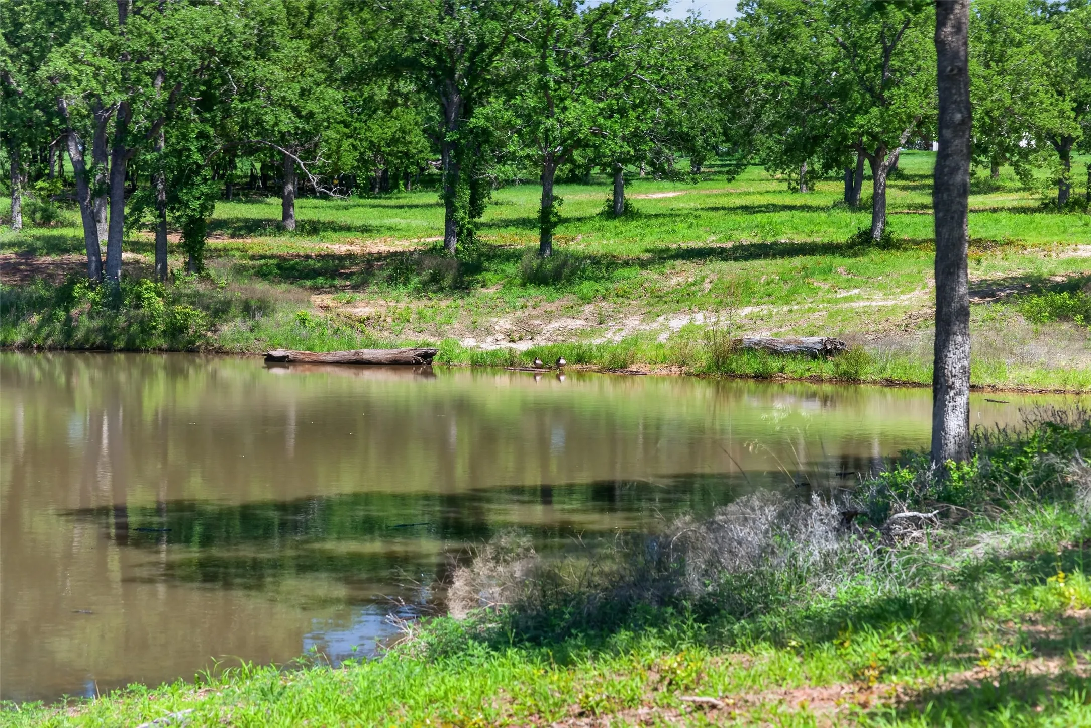 Single Family Residence For Sale in Wise County , TBD County Road 1270, Alvord, Texas 76225, 4 Bedroom, 4 Bathroom, Garage spaces, 672 Sqft, built in 2024, mls#21402178, Real Estate Agent in Alvord, Homes For Sale in Wise county, Homes For Sale in Alvord, Realtor in Alvord Texas, Real Estate Brokerage Independent Realty Texas, Luminita Cordes Realtor