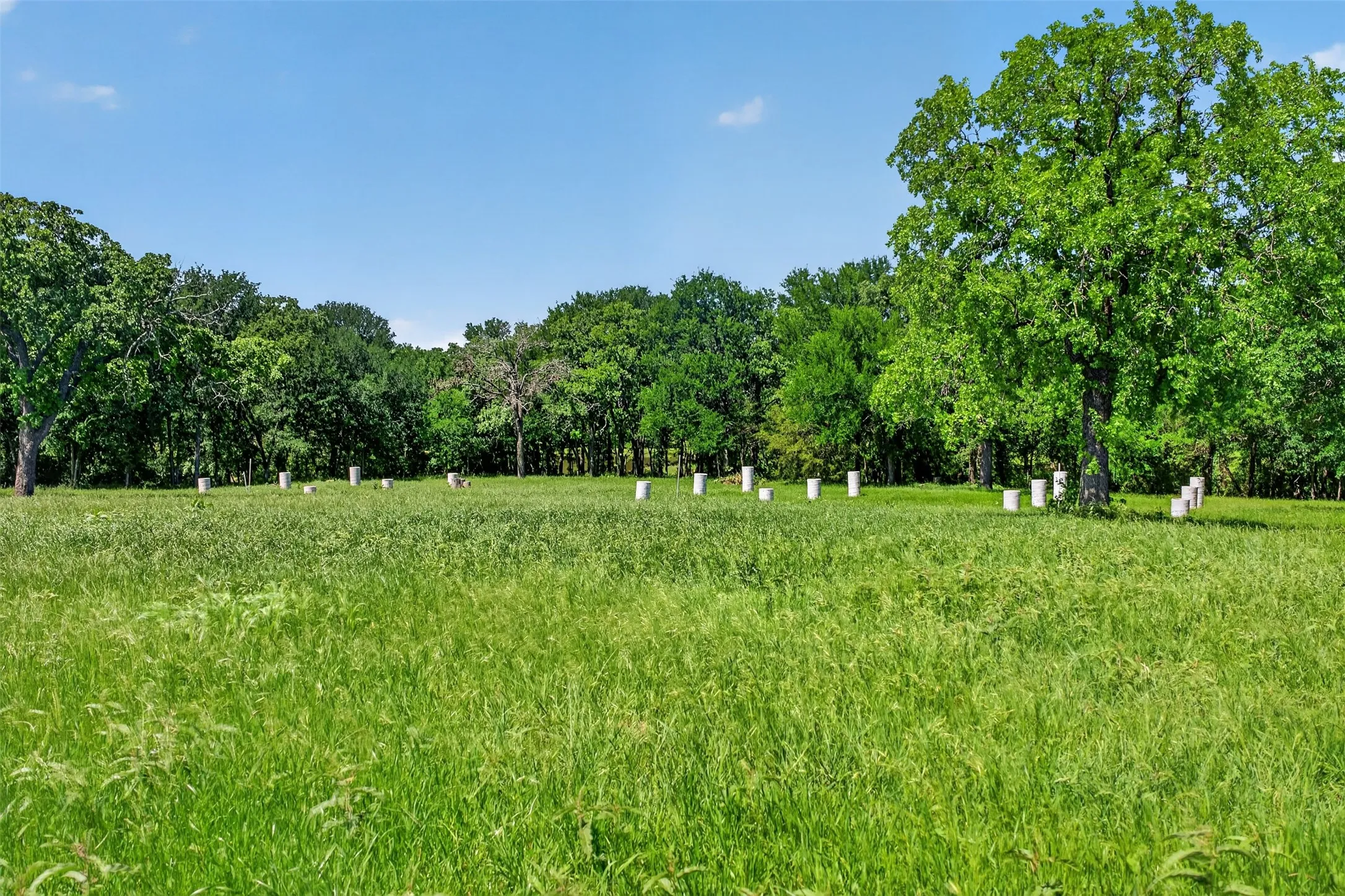 Single Family Residence For Sale in Wise County , TBD County Road 1270, Alvord, Texas 76225, 4 Bedroom, 4 Bathroom, Garage spaces, 672 Sqft, built in 2024, mls#21402178, Real Estate Agent in Alvord, Homes For Sale in Wise county, Homes For Sale in Alvord, Realtor in Alvord Texas, Real Estate Brokerage Independent Realty Texas, Luminita Cordes Realtor