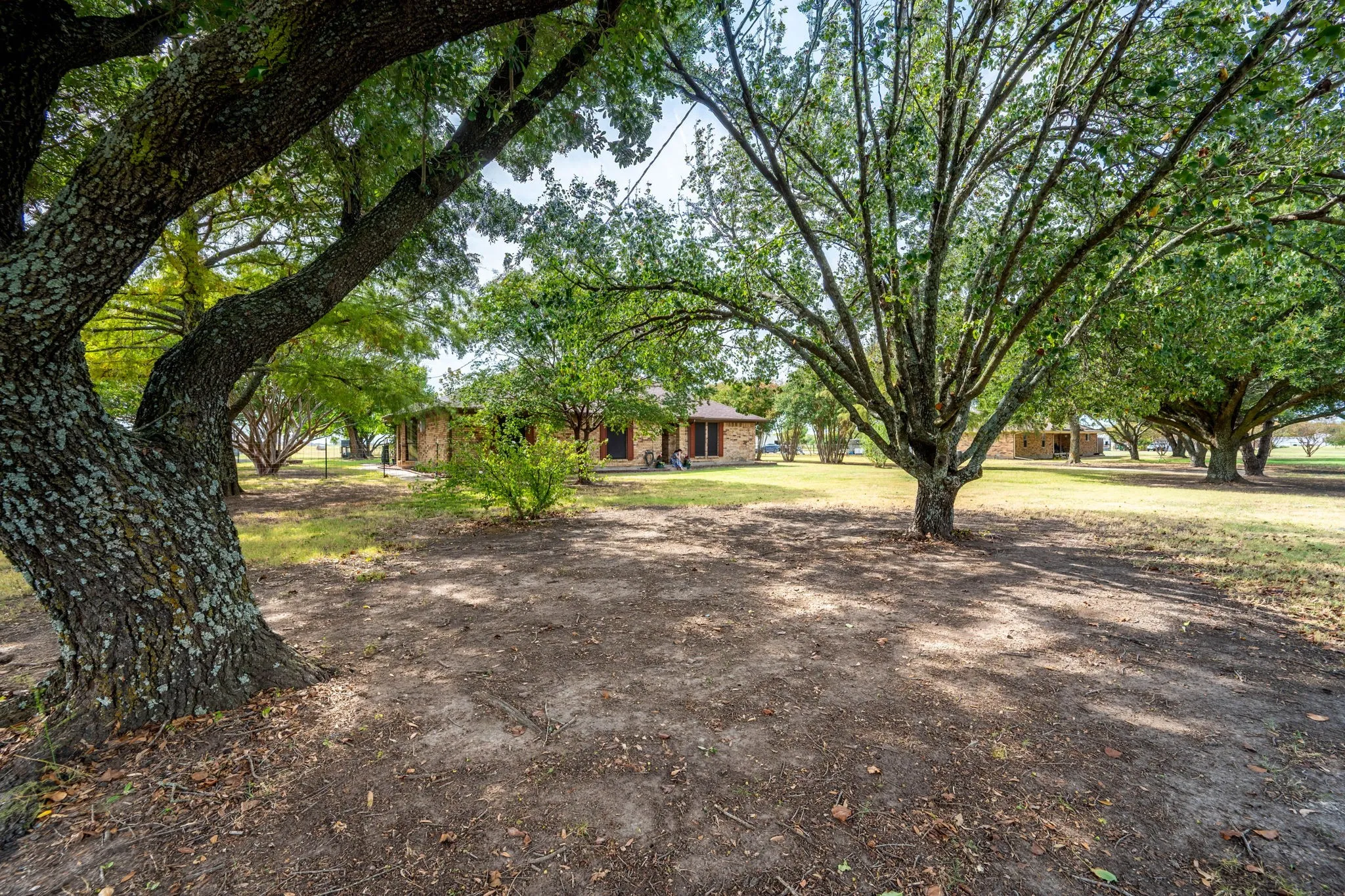 Single Family Residence For Sale in Collin County , 815 W Cook Street, Josephine, Texas 75173, 3 Bedroom, 2 Bathroom, 2 Garage spaces, 1,776 Sqft, built in 1986, mls#21400700, Real Estate Agent in Josephine, Homes For Sale in Collin county, Homes For Sale in Josephine, Realtor in Josephine Texas, Real Estate Brokerage Independent Realty Texas, Luminita Cordes Realtor