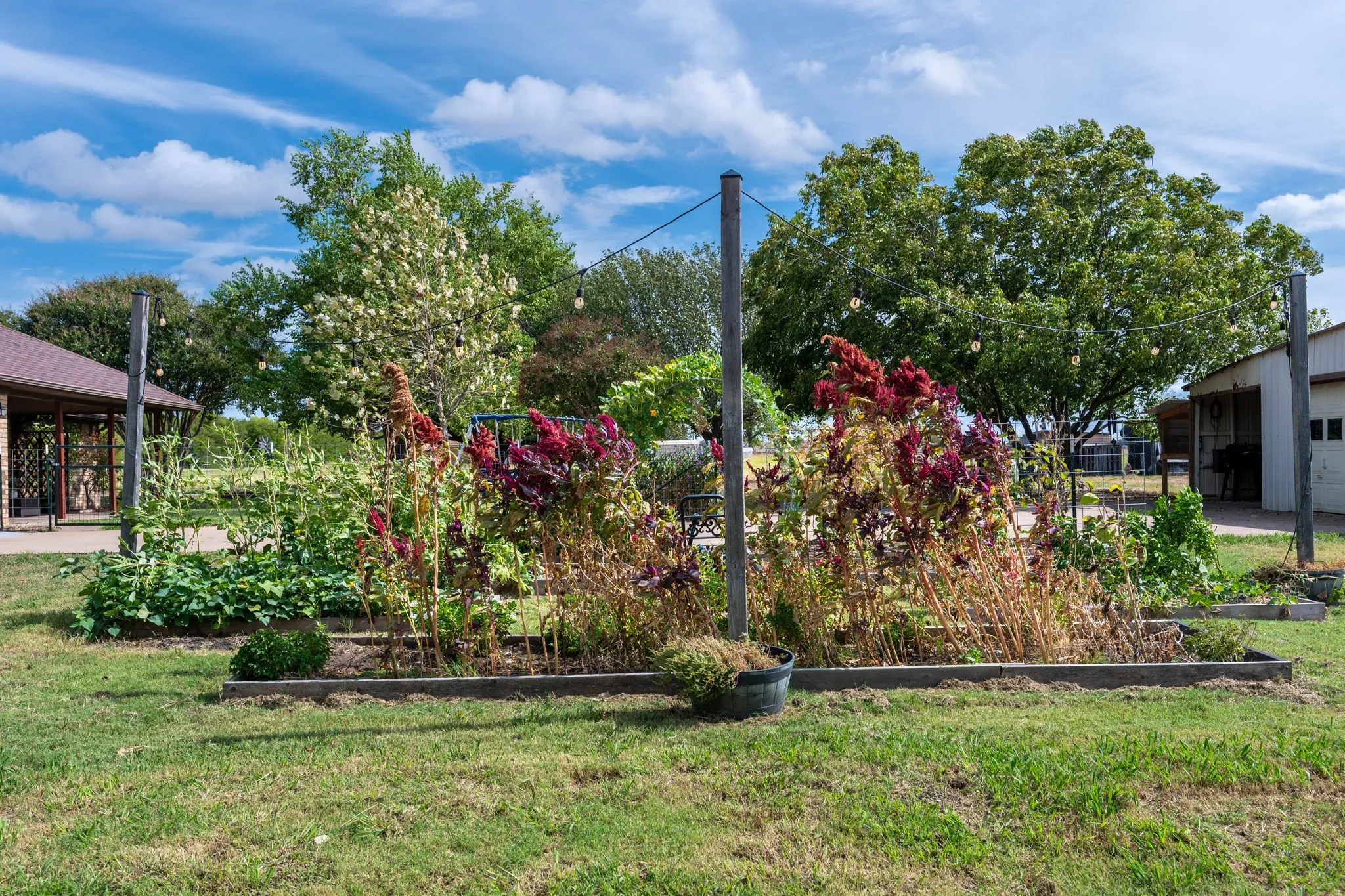 Single Family Residence For Sale in Collin County , 815 W Cook Street, Josephine, Texas 75173, 3 Bedroom, 2 Bathroom, 2 Garage spaces, 1,776 Sqft, built in 1986, mls#21400700, Real Estate Agent in Josephine, Homes For Sale in Collin county, Homes For Sale in Josephine, Realtor in Josephine Texas, Real Estate Brokerage Independent Realty Texas, Luminita Cordes Realtor