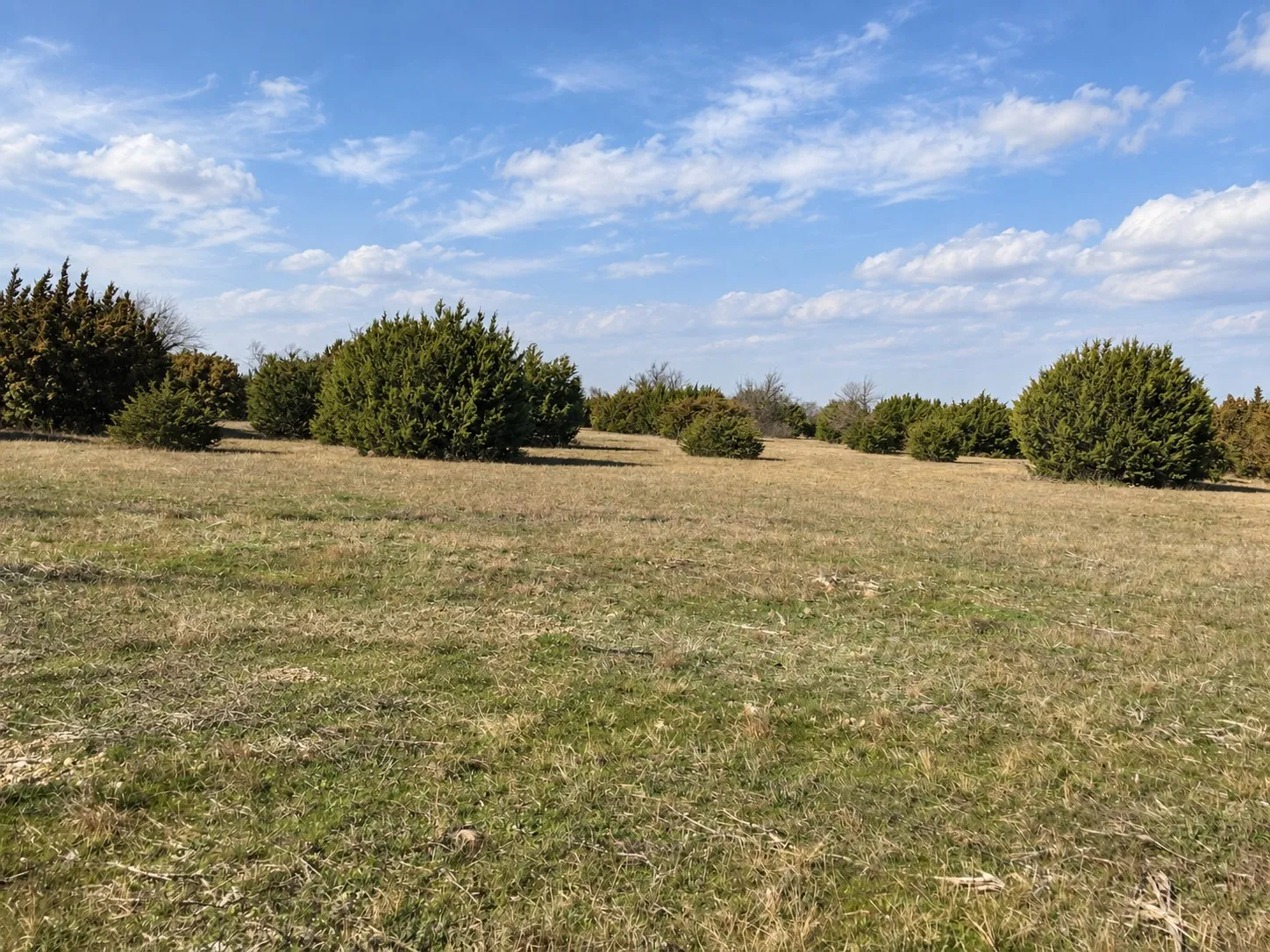 Unimproved Land For Sale in Hill County , TBD HCR 1103, Blum, Texas 76627, 0, 0, Garage spaces, 0 Sqft, built in 0, mls#21401092, Real Estate Agent in Blum, Homes For Sale in Hill county, Homes For Sale in Blum, Realtor in Blum Texas, Real Estate Brokerage Independent Realty Texas, Luminita Cordes Realtor