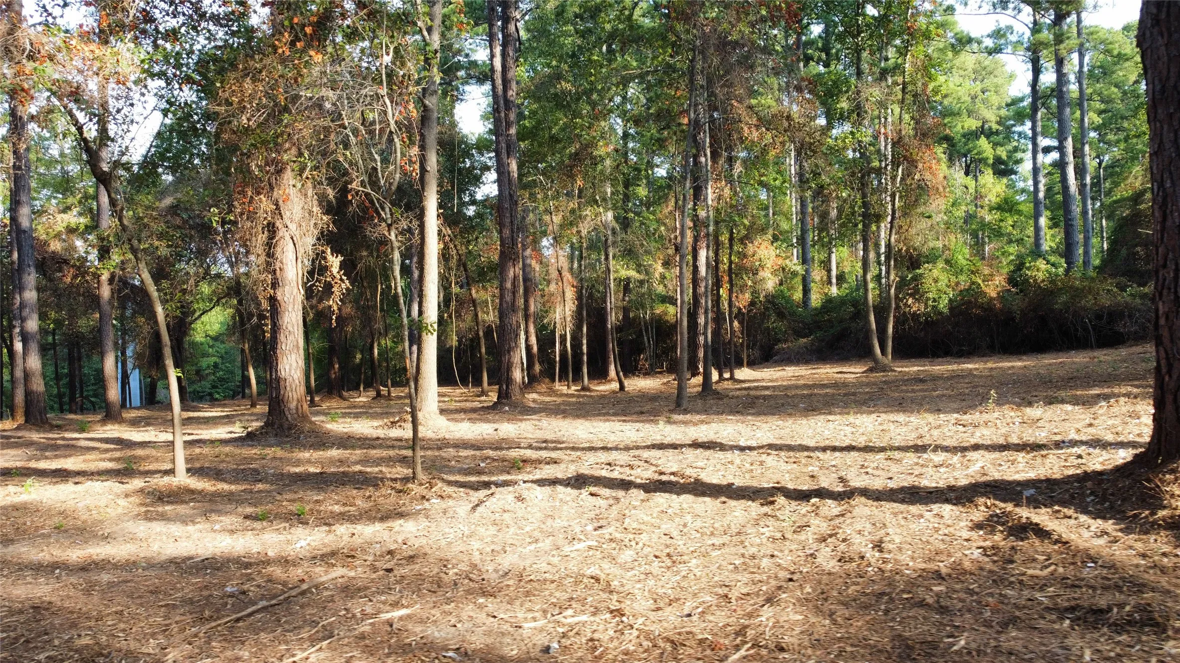 Unimproved Land For Sale in Smith County , TBD C R 192 8, Tyler, Texas 75703, 0, 0, Garage spaces, 0 Sqft, built in 2026, mls#21399241, Real Estate Agent in Tyler, Homes For Sale in Smith county, Homes For Sale in Tyler, Realtor in Tyler Texas, Real Estate Brokerage Independent Realty Texas, Luminita Cordes Realtor