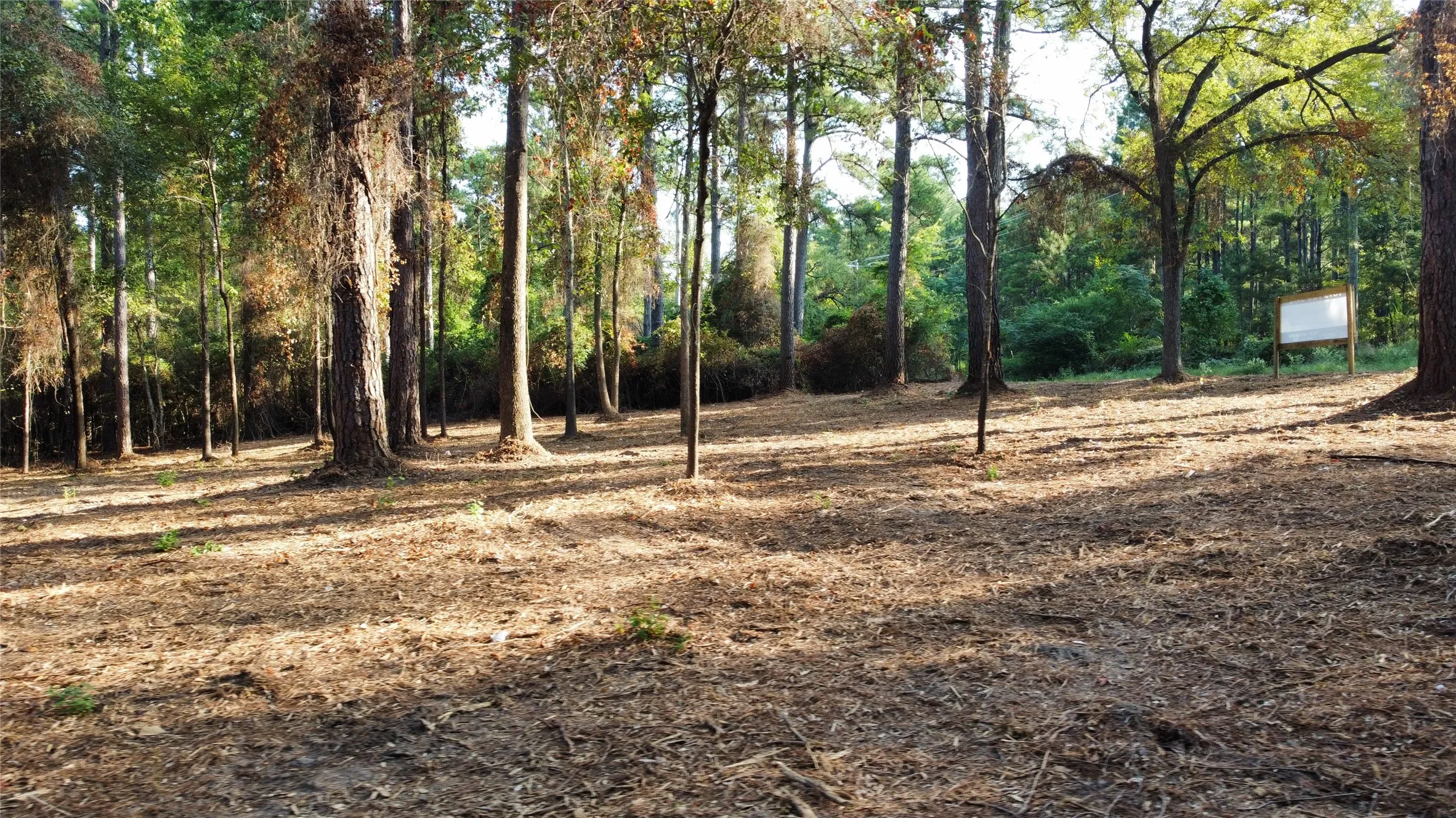 commercial lot with trees