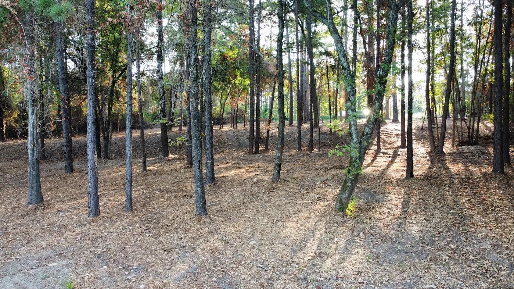 Unimproved Land For Sale in Smith County , TBD C R 192 8, Tyler, Texas 75703, 0, 0, Garage spaces, 0 Sqft, built in 2026, mls#21399241, Real Estate Agent in Tyler, Homes For Sale in Smith county, Homes For Sale in Tyler, Realtor in Tyler Texas, Real Estate Brokerage Independent Realty Texas, Luminita Cordes Realtor