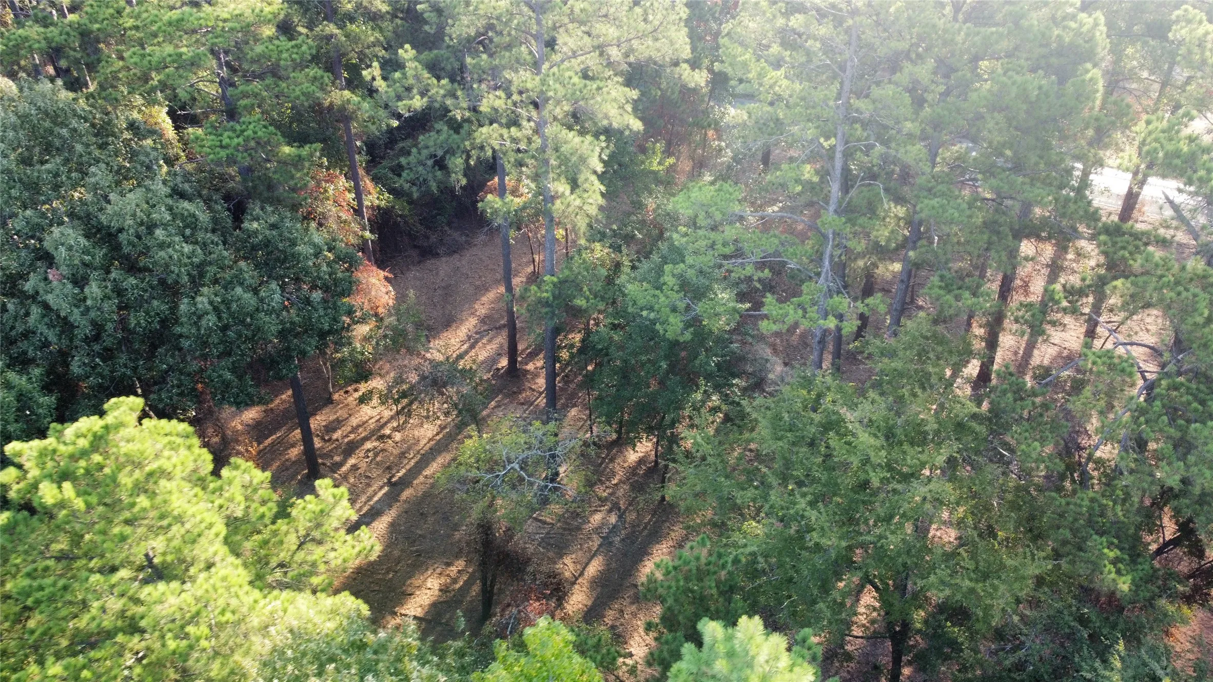 Unimproved Land For Sale in Smith County , TBD C R 192 8, Tyler, Texas 75703, 0, 0, Garage spaces, 0 Sqft, built in 2026, mls#21399241, Real Estate Agent in Tyler, Homes For Sale in Smith county, Homes For Sale in Tyler, Realtor in Tyler Texas, Real Estate Brokerage Independent Realty Texas, Luminita Cordes Realtor