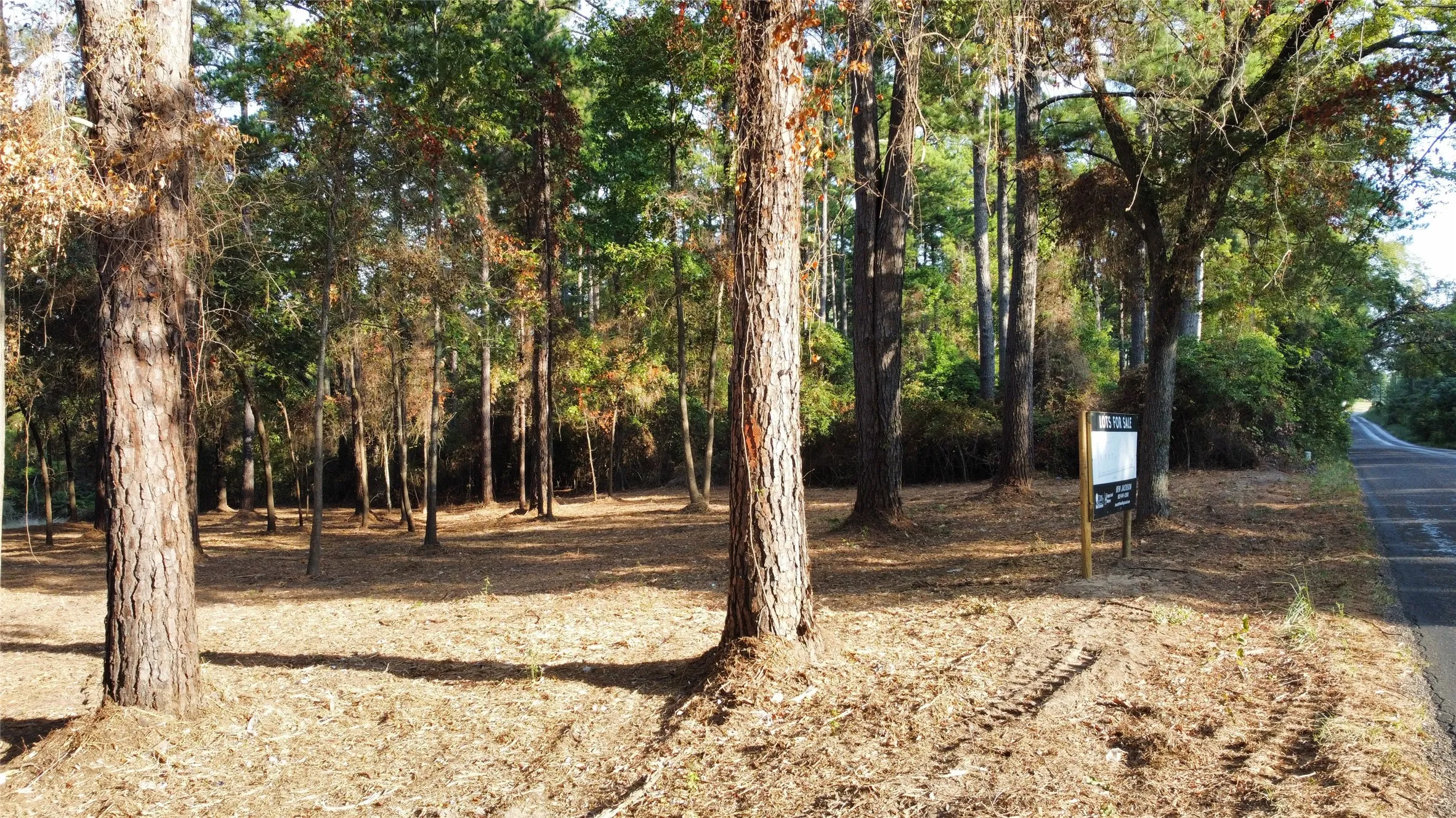 Unimproved Land For Sale in Smith County , TBD C R 192 8, Tyler, Texas 75703, 0, 0, Garage spaces, 0 Sqft, built in 2026, mls#21399241, Real Estate Agent in Tyler, Homes For Sale in Smith county, Homes For Sale in Tyler, Realtor in Tyler Texas, Real Estate Brokerage Independent Realty Texas, Luminita Cordes Realtor