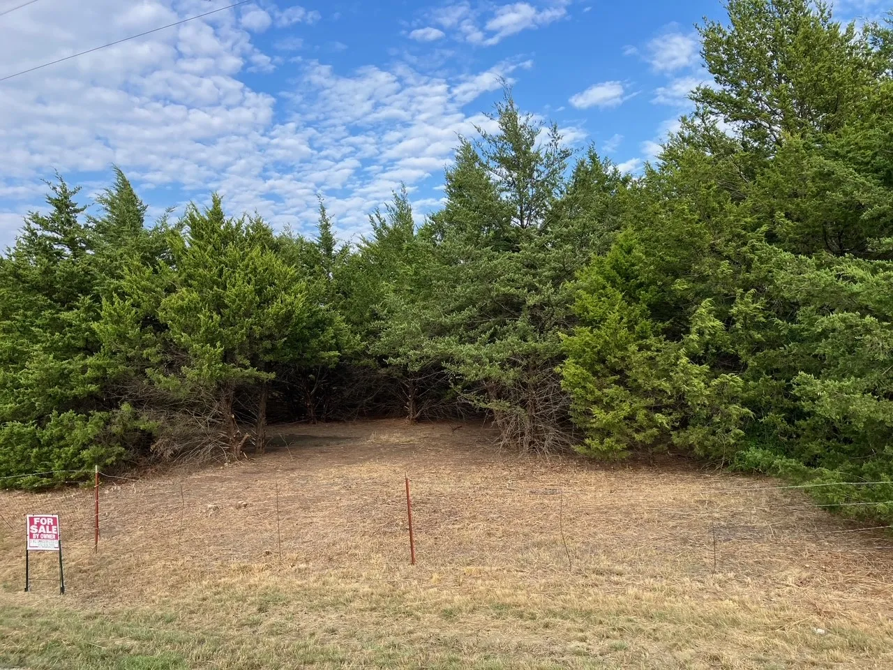 Improved Land For Sale in Collin County , TBD County Road 670, Blue Ridge, Texas 75424, 0, 0, Garage spaces, 0 Sqft, built in 0, mls#21402302, Real Estate Agent in Blue Ridge, Homes For Sale in Collin county, Homes For Sale in Blue Ridge, Realtor in Blue Ridge Texas, Real Estate Brokerage Independent Realty Texas, Luminita Cordes Realtor