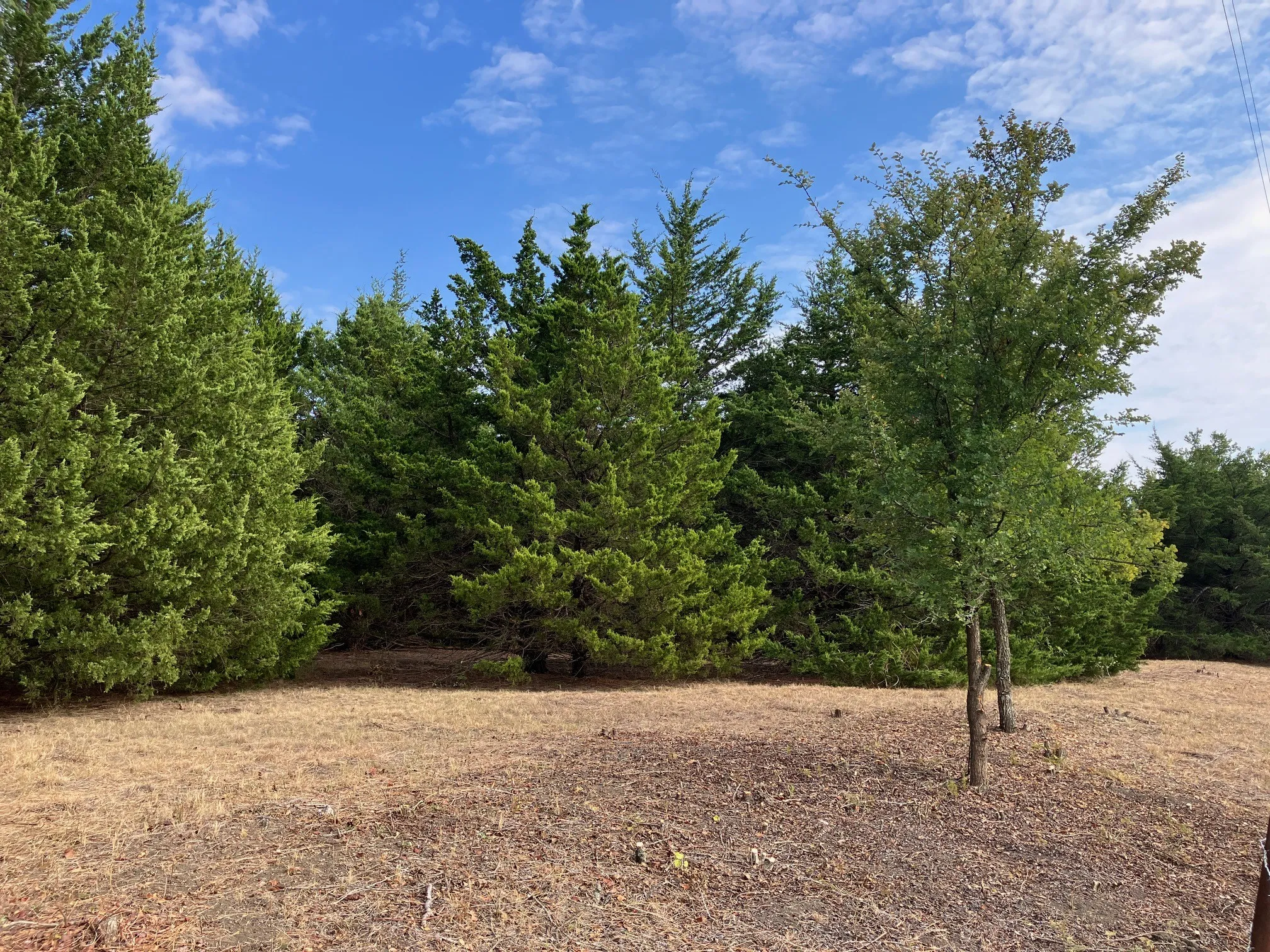 Improved Land For Sale in Collin County , TBD County Road 670, Blue Ridge, Texas 75424, 0, 0, Garage spaces, 0 Sqft, built in 0, mls#21402302, Real Estate Agent in Blue Ridge, Homes For Sale in Collin county, Homes For Sale in Blue Ridge, Realtor in Blue Ridge Texas, Real Estate Brokerage Independent Realty Texas, Luminita Cordes Realtor