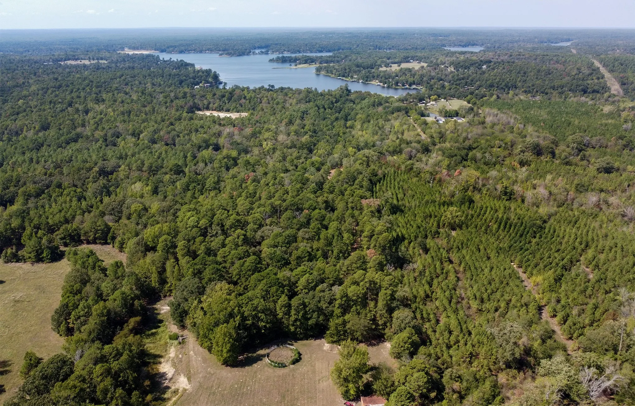 Unimproved Land For Sale in Wood County , TBD PR 7816, Hawkins, Texas 76765, 0, 0, Garage spaces, 0 Sqft, built in 0, mls#21402304, Real Estate Agent in Hawkins, Homes For Sale in Wood county, Homes For Sale in Hawkins, Realtor in Hawkins Texas, Real Estate Brokerage Independent Realty Texas, Luminita Cordes Realtor