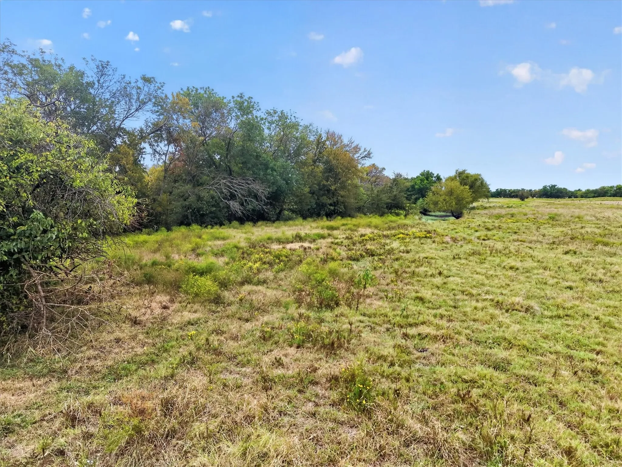 Unimproved Land For Sale in Collin County , TBD1 FM 1777, Royse City, Texas 75189, 0, 0, Garage spaces, 0 Sqft, built in 0, mls#21383842, Real Estate Agent in Royse City, Homes For Sale in Collin county, Homes For Sale in Royse City, Realtor in Royse City Texas, Real Estate Brokerage Independent Realty Texas, Luminita Cordes Realtor