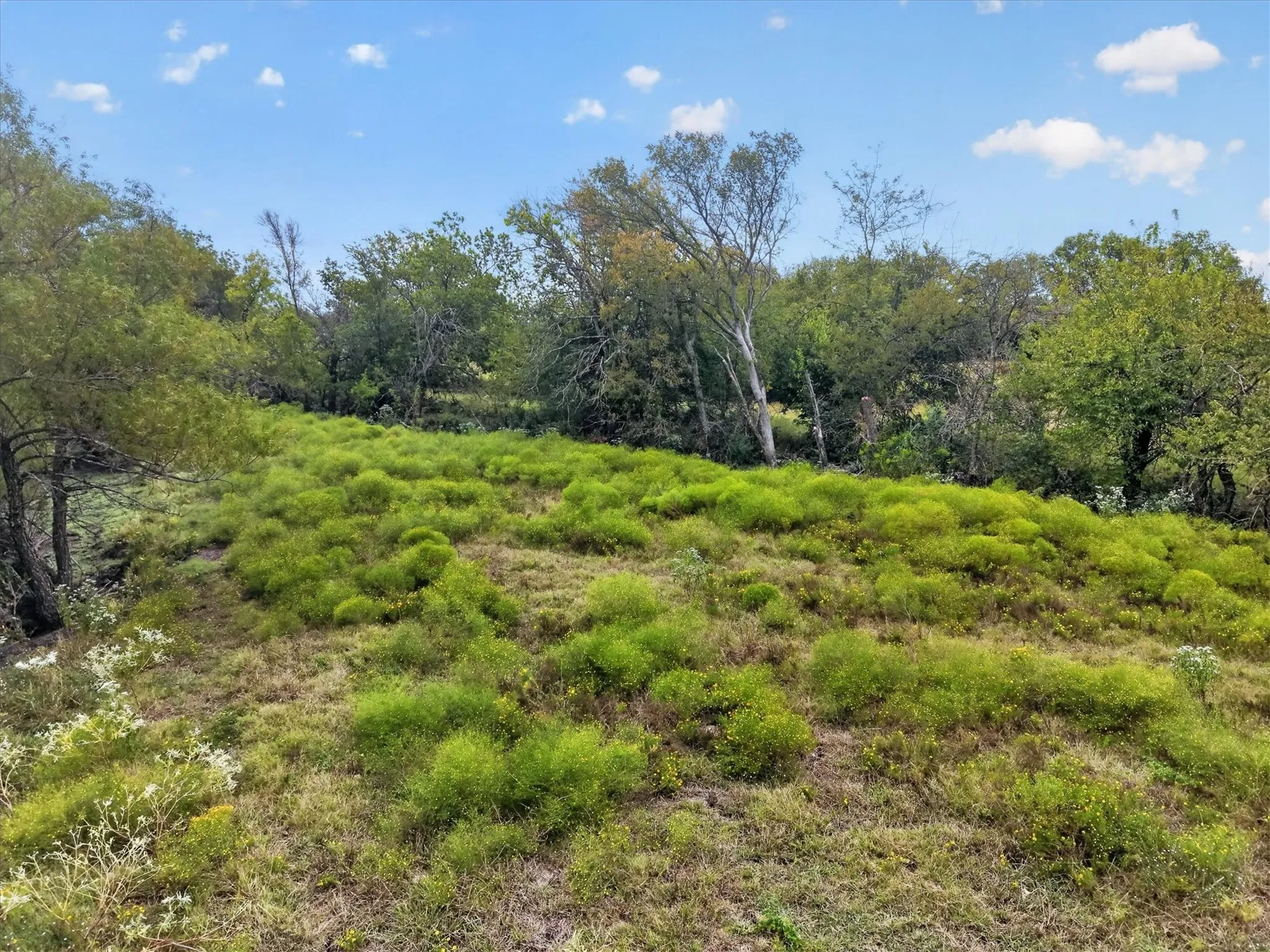 Unimproved Land For Sale in Collin County , TBD1 FM 1777, Royse City, Texas 75189, 0, 0, Garage spaces, 0 Sqft, built in 0, mls#21383842, Real Estate Agent in Royse City, Homes For Sale in Collin county, Homes For Sale in Royse City, Realtor in Royse City Texas, Real Estate Brokerage Independent Realty Texas, Luminita Cordes Realtor