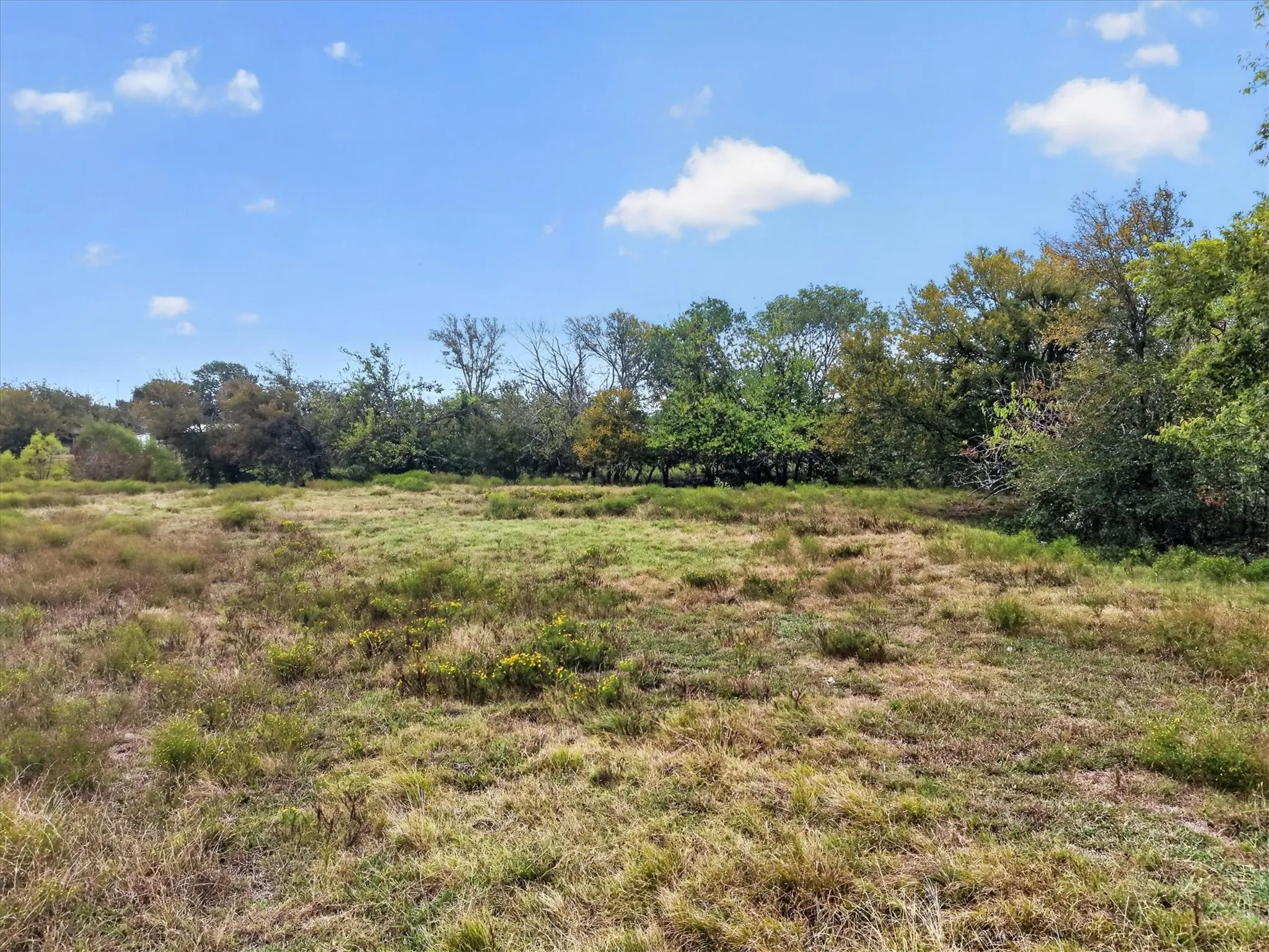 Unimproved Land For Sale in Collin County , TBD1 FM 1777, Royse City, Texas 75189, 0, 0, Garage spaces, 0 Sqft, built in 0, mls#21383842, Real Estate Agent in Royse City, Homes For Sale in Collin county, Homes For Sale in Royse City, Realtor in Royse City Texas, Real Estate Brokerage Independent Realty Texas, Luminita Cordes Realtor