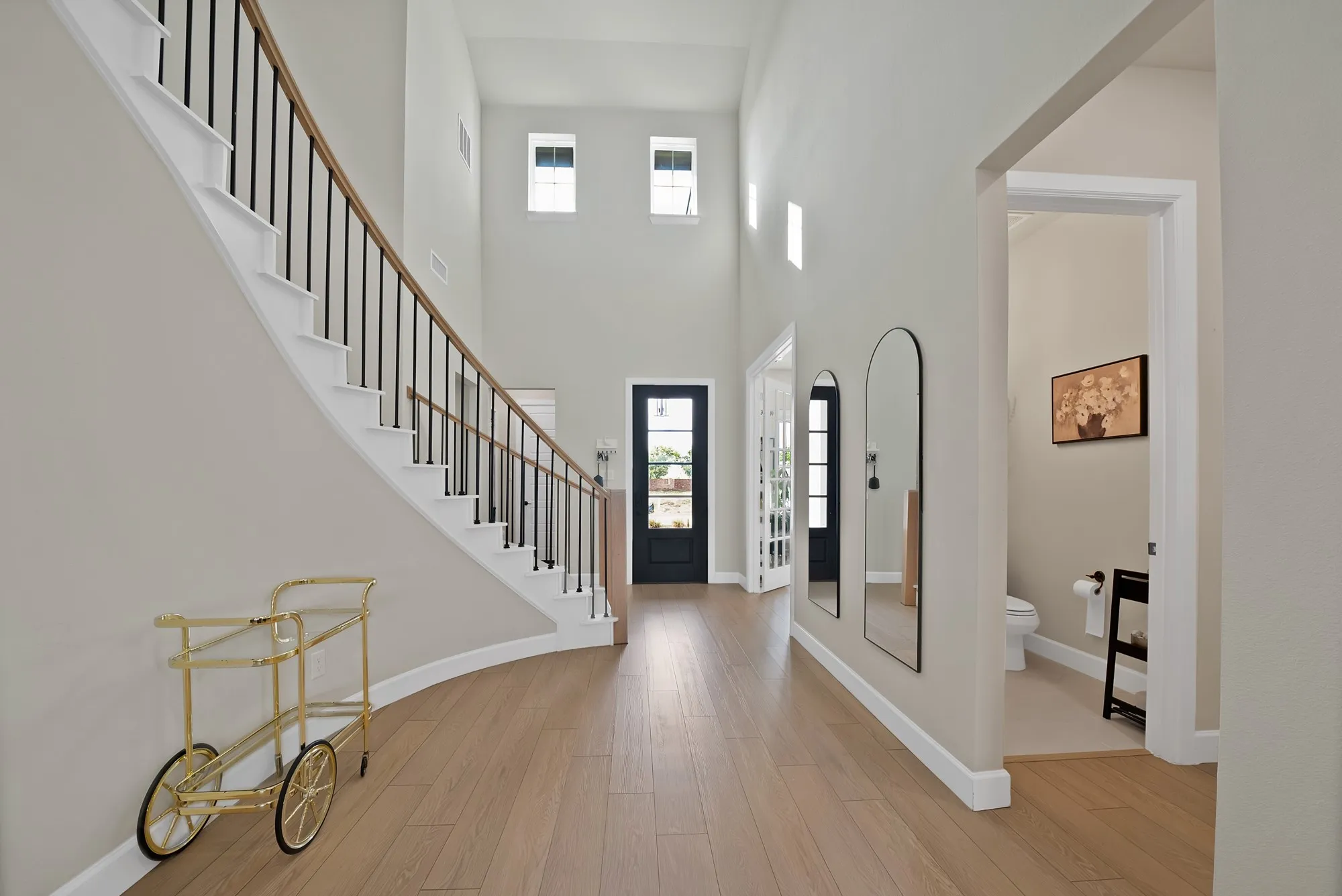 Vaulted entry with wood-finish flooring, a curved staircase with dark iron balusters, and a dark paneled front door