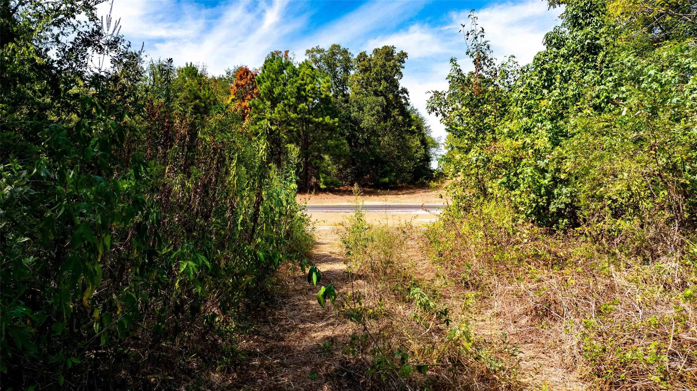 Unimproved Land For Sale in Upshur County , TBD FM 726, Gilmer, Texas 75645, 0, 0, Garage spaces, 0 Sqft, built in 0, mls#21402357, Real Estate Agent in Gilmer, Homes For Sale in Upshur county, Homes For Sale in Gilmer, Realtor in Gilmer Texas, Real Estate Brokerage Independent Realty Texas, Luminita Cordes Realtor