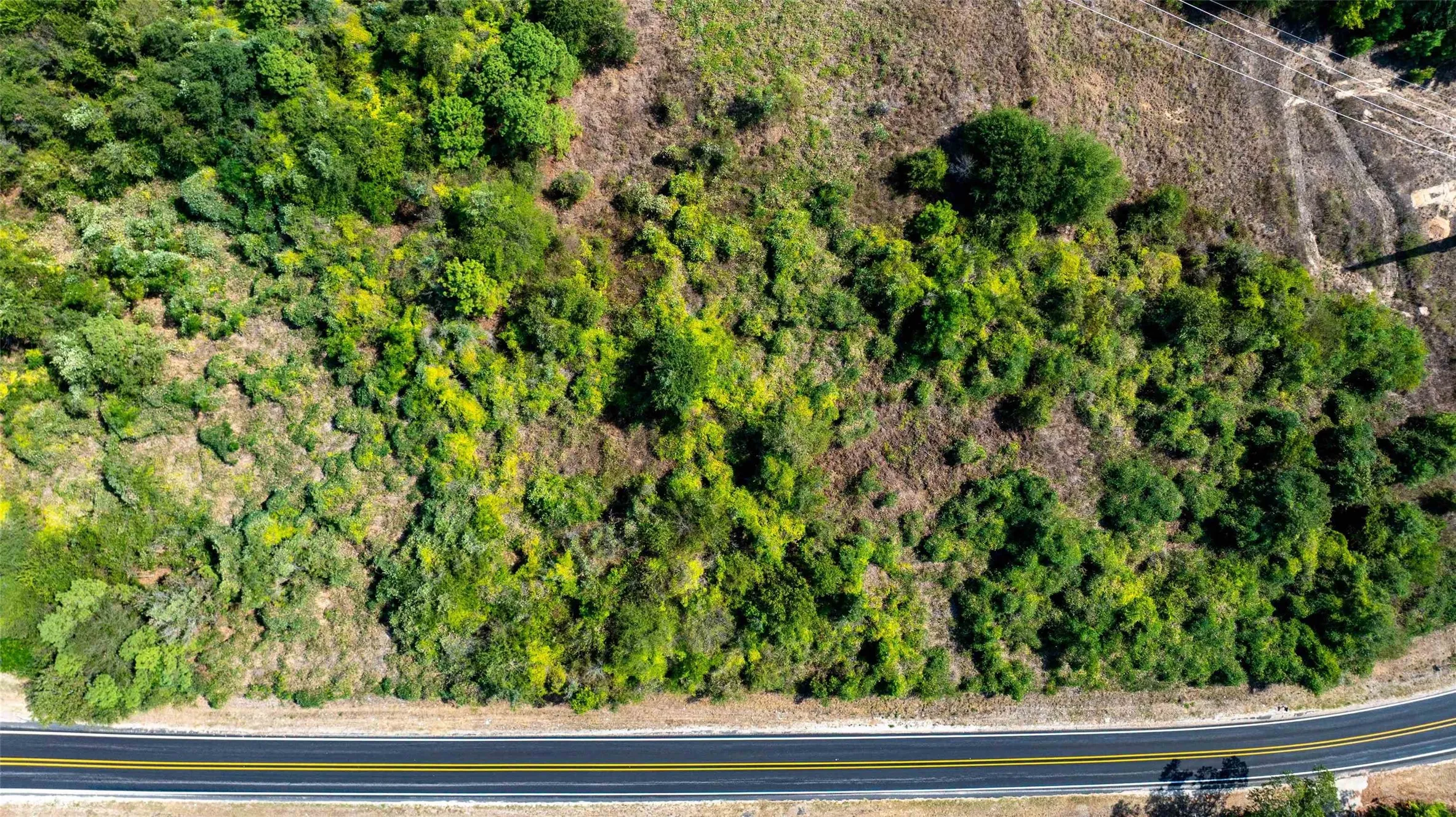 Unimproved Land For Sale in Upshur County , TBD FM 726, Gilmer, Texas 75645, 0, 0, Garage spaces, 0 Sqft, built in 0, mls#21402357, Real Estate Agent in Gilmer, Homes For Sale in Upshur county, Homes For Sale in Gilmer, Realtor in Gilmer Texas, Real Estate Brokerage Independent Realty Texas, Luminita Cordes Realtor