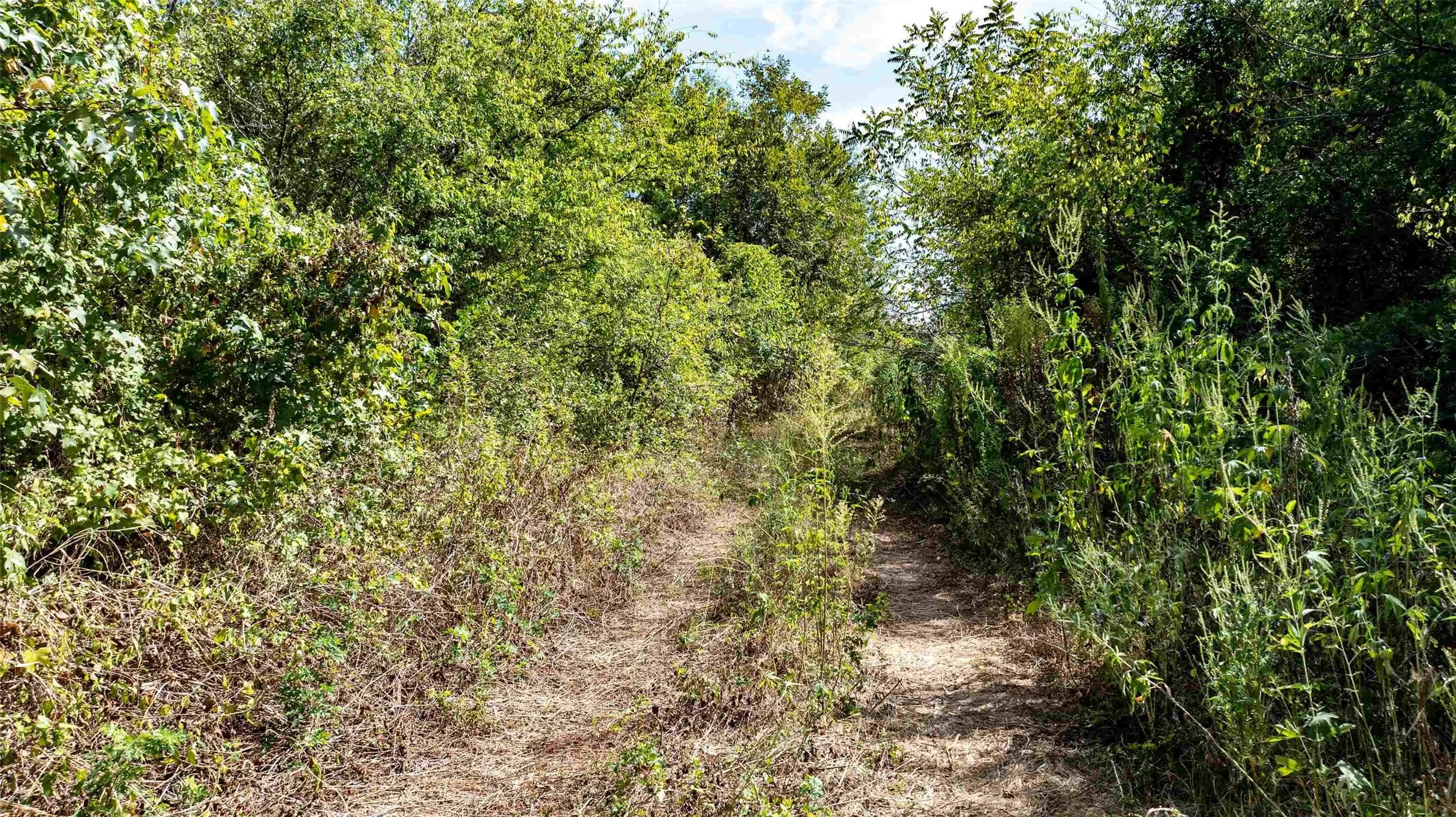 Unimproved Land For Sale in Upshur County , TBD FM 726, Gilmer, Texas 75645, 0, 0, Garage spaces, 0 Sqft, built in 0, mls#21402357, Real Estate Agent in Gilmer, Homes For Sale in Upshur county, Homes For Sale in Gilmer, Realtor in Gilmer Texas, Real Estate Brokerage Independent Realty Texas, Luminita Cordes Realtor