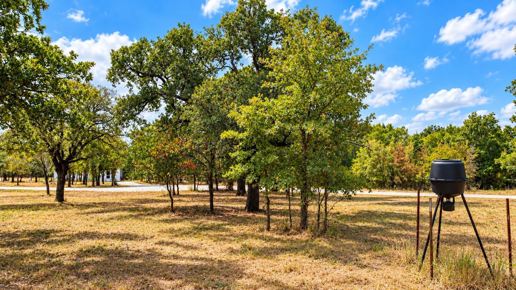 Single Family Residence For Sale in Parker County , 1098 Paradise Parkway, Poolville, Texas 76487, 4 Bedroom, 3 Bathroom, 3 Garage spaces, 3,041 Sqft, built in 2022, mls#21402170, Real Estate Agent in Poolville, Homes For Sale in Parker county, Homes For Sale in Poolville, Realtor in Poolville Texas, Real Estate Brokerage Independent Realty Texas, Luminita Cordes Realtor