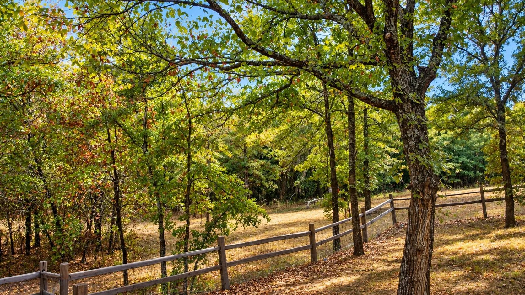 Single Family Residence For Sale in Parker County , 1098 Paradise Parkway, Poolville, Texas 76487, 4 Bedroom, 3 Bathroom, 3 Garage spaces, 3,041 Sqft, built in 2022, mls#21402170, Real Estate Agent in Poolville, Homes For Sale in Parker county, Homes For Sale in Poolville, Realtor in Poolville Texas, Real Estate Brokerage Independent Realty Texas, Luminita Cordes Realtor