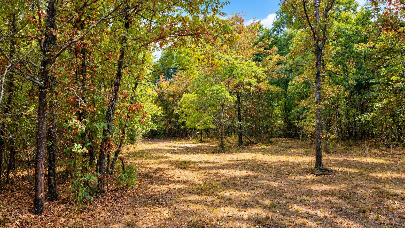 Single Family Residence For Sale in Parker County , 1098 Paradise Parkway, Poolville, Texas 76487, 4 Bedroom, 3 Bathroom, 3 Garage spaces, 3,041 Sqft, built in 2022, mls#21402170, Real Estate Agent in Poolville, Homes For Sale in Parker county, Homes For Sale in Poolville, Realtor in Poolville Texas, Real Estate Brokerage Independent Realty Texas, Luminita Cordes Realtor